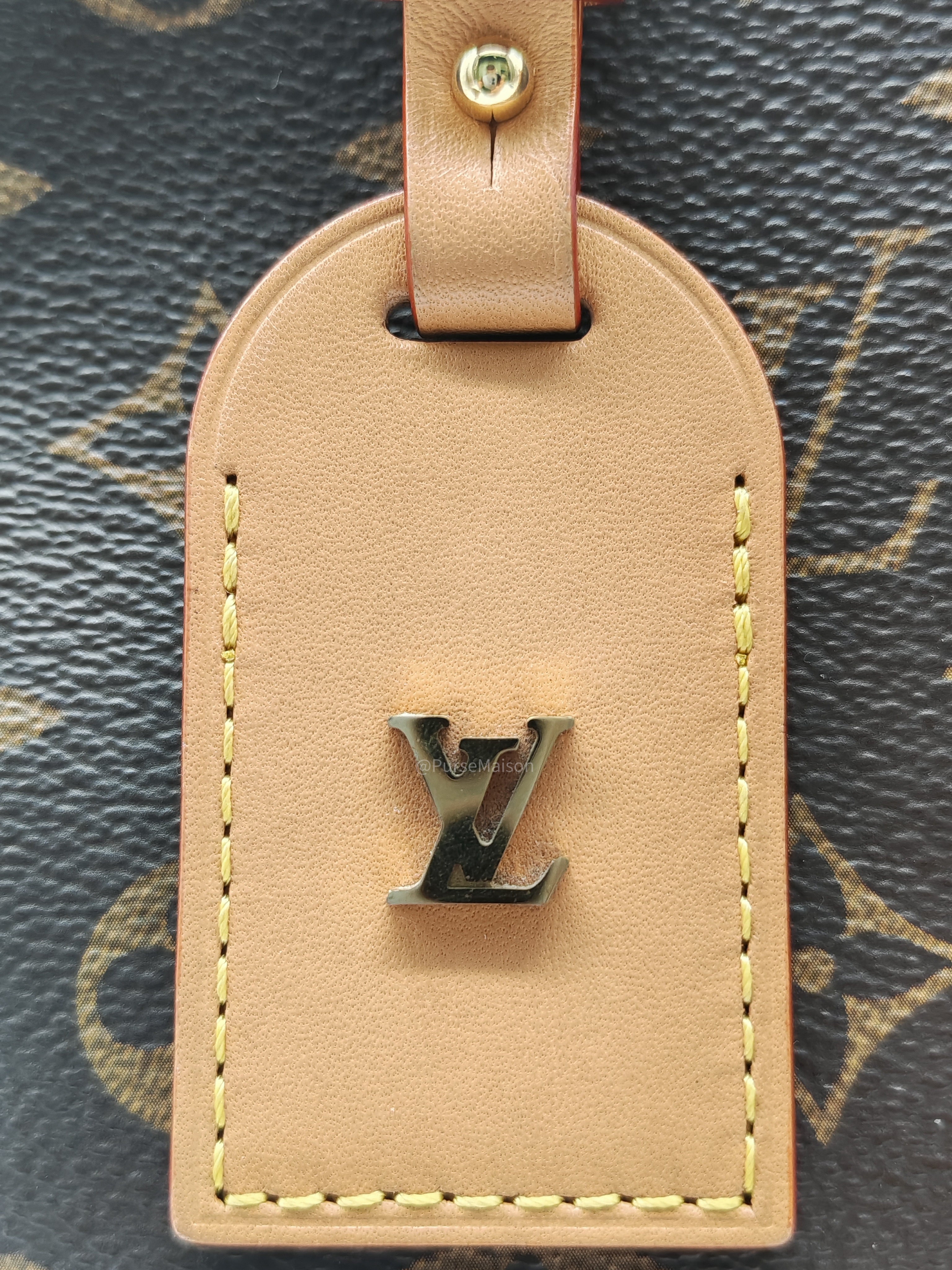 Louis Vuitton Carry All PM in Monogram Canvas and Gold Hardware Mircochip