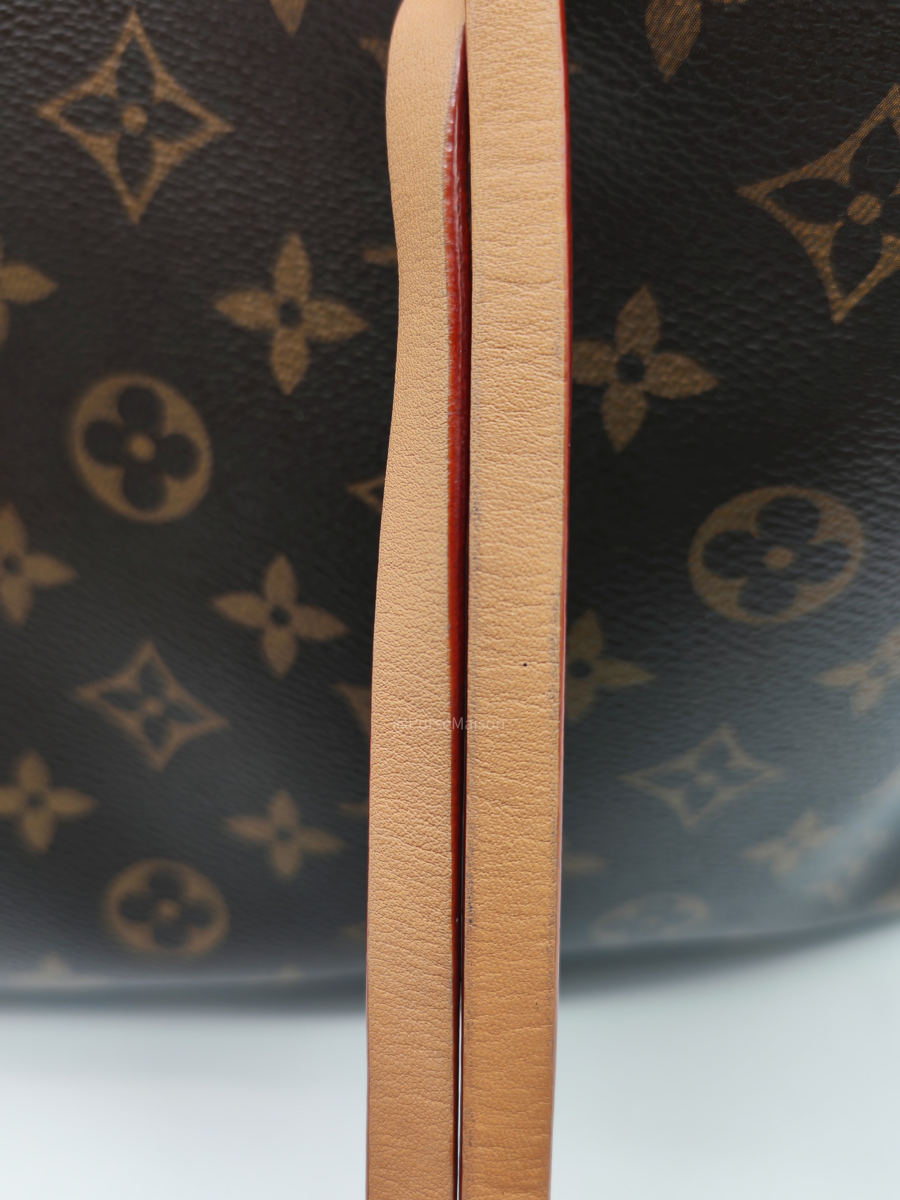 Louis Vuitton Carry All PM in Monogram Canvas and Gold Hardware Mircochip