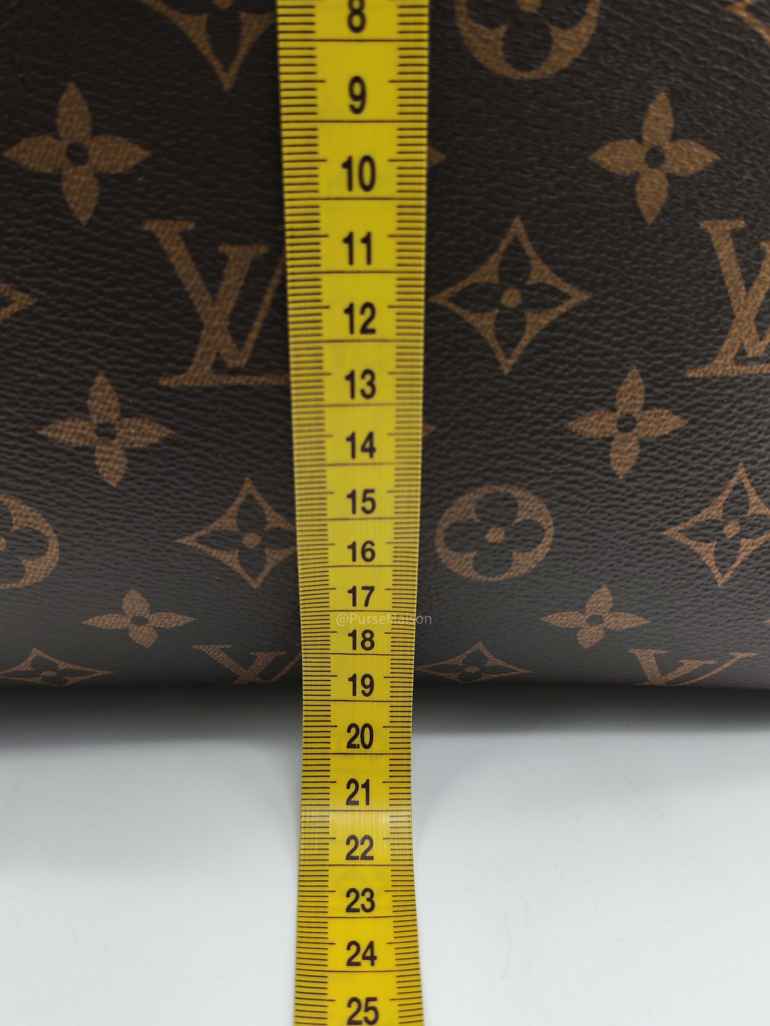 Louis Vuitton Carry All PM in Monogram Canvas and Gold Hardware Mircochip