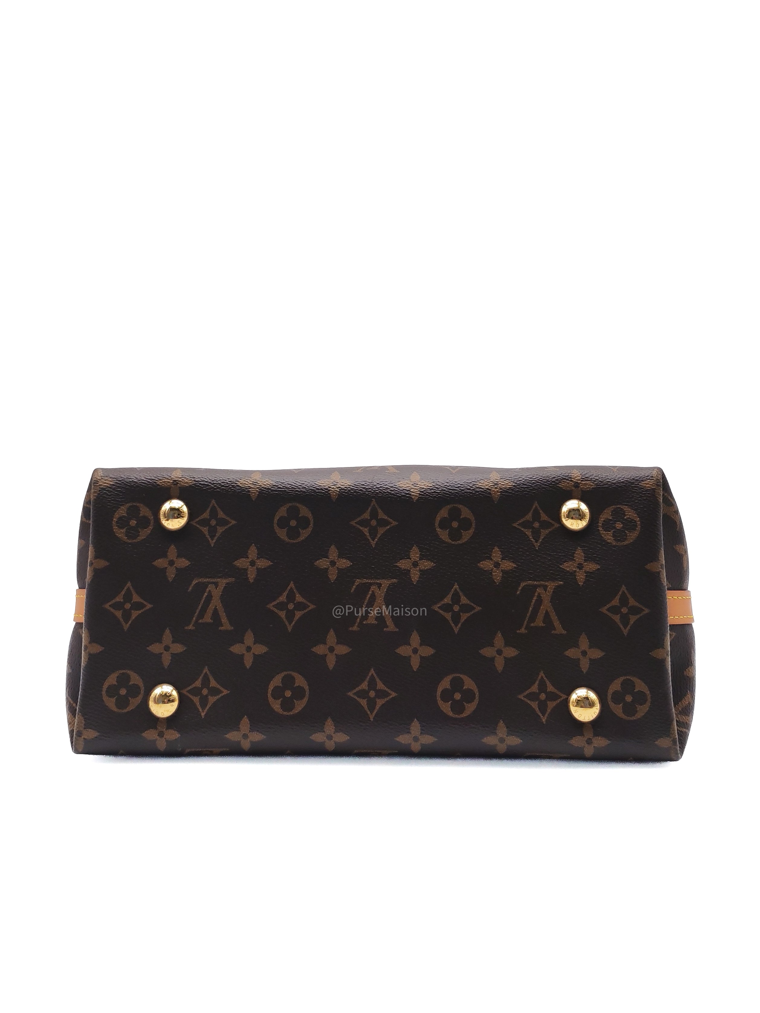 Louis Vuitton Carry All PM in Monogram Canvas and Gold Hardware Mircochip