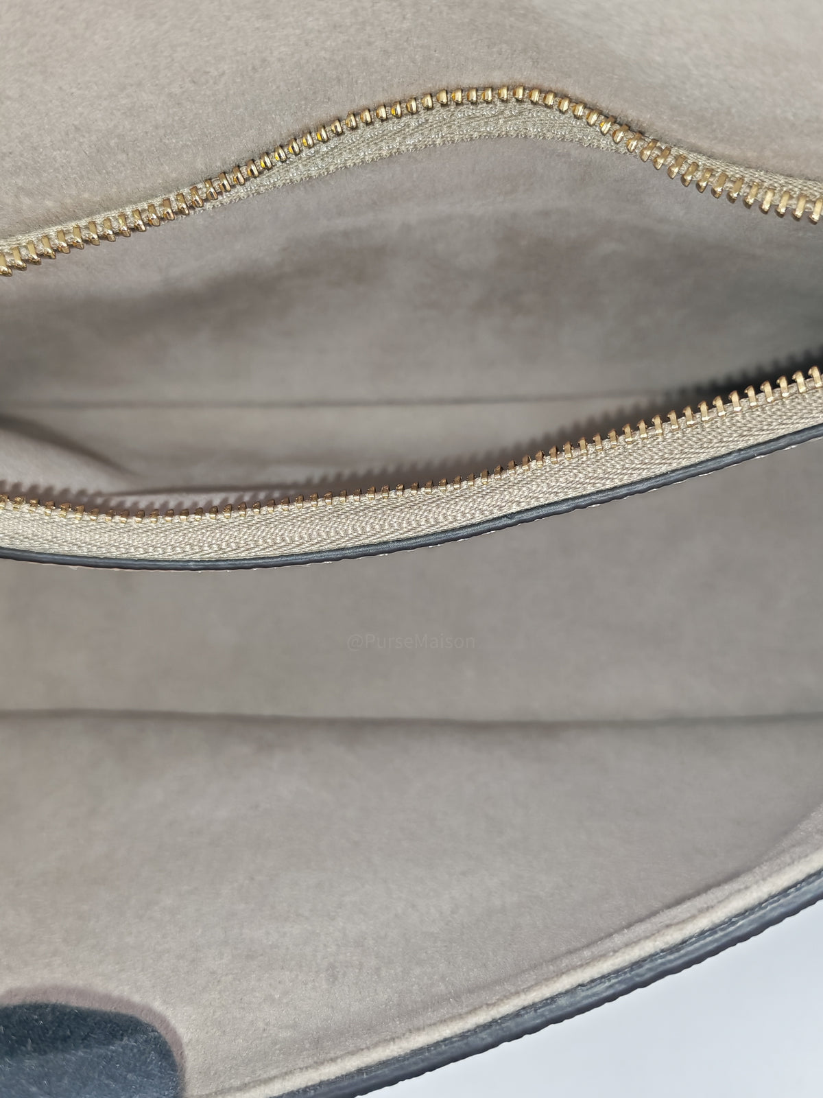 Louis Vuitton Diane PM in Beige Monogram Empreinte Leather and Gold Hardware Microchip