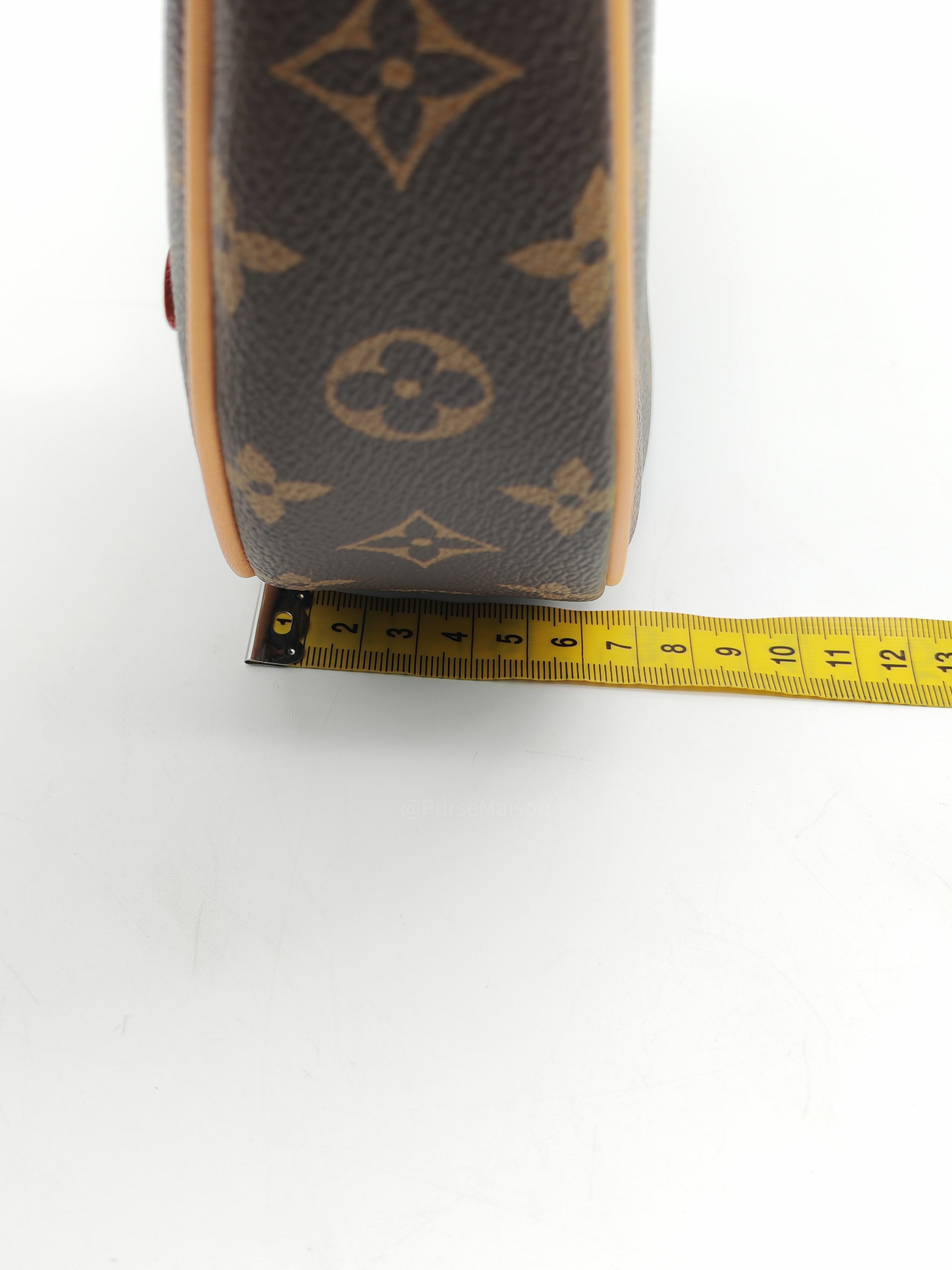 Louis Vuitton Loop Hand Bag in Monogram Canvas and Gold Hardware Microchip