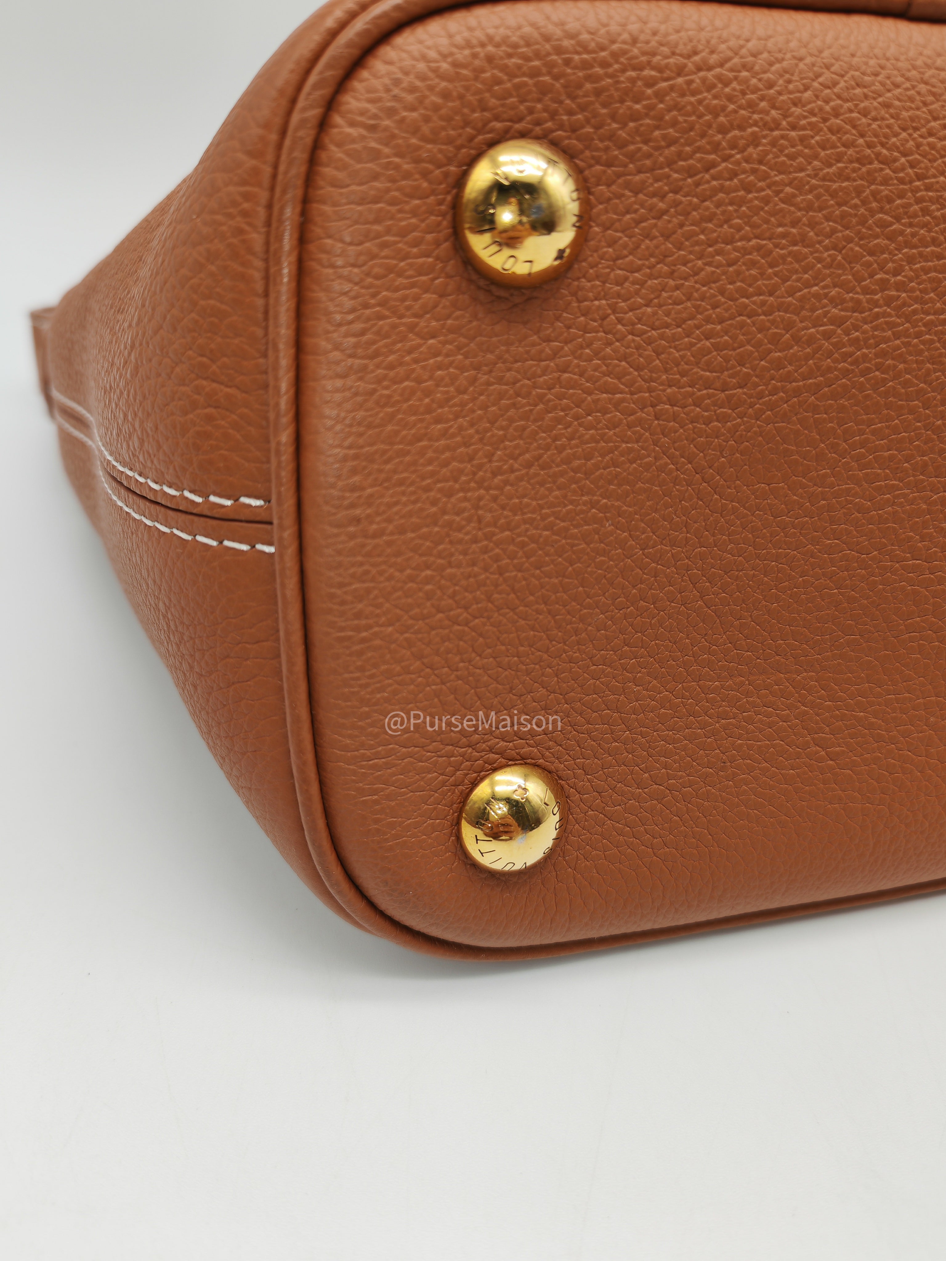 Louis Vuitton Low Key All BB in Cognac Grained Calfskin Leather and Gold Hardware Microchip