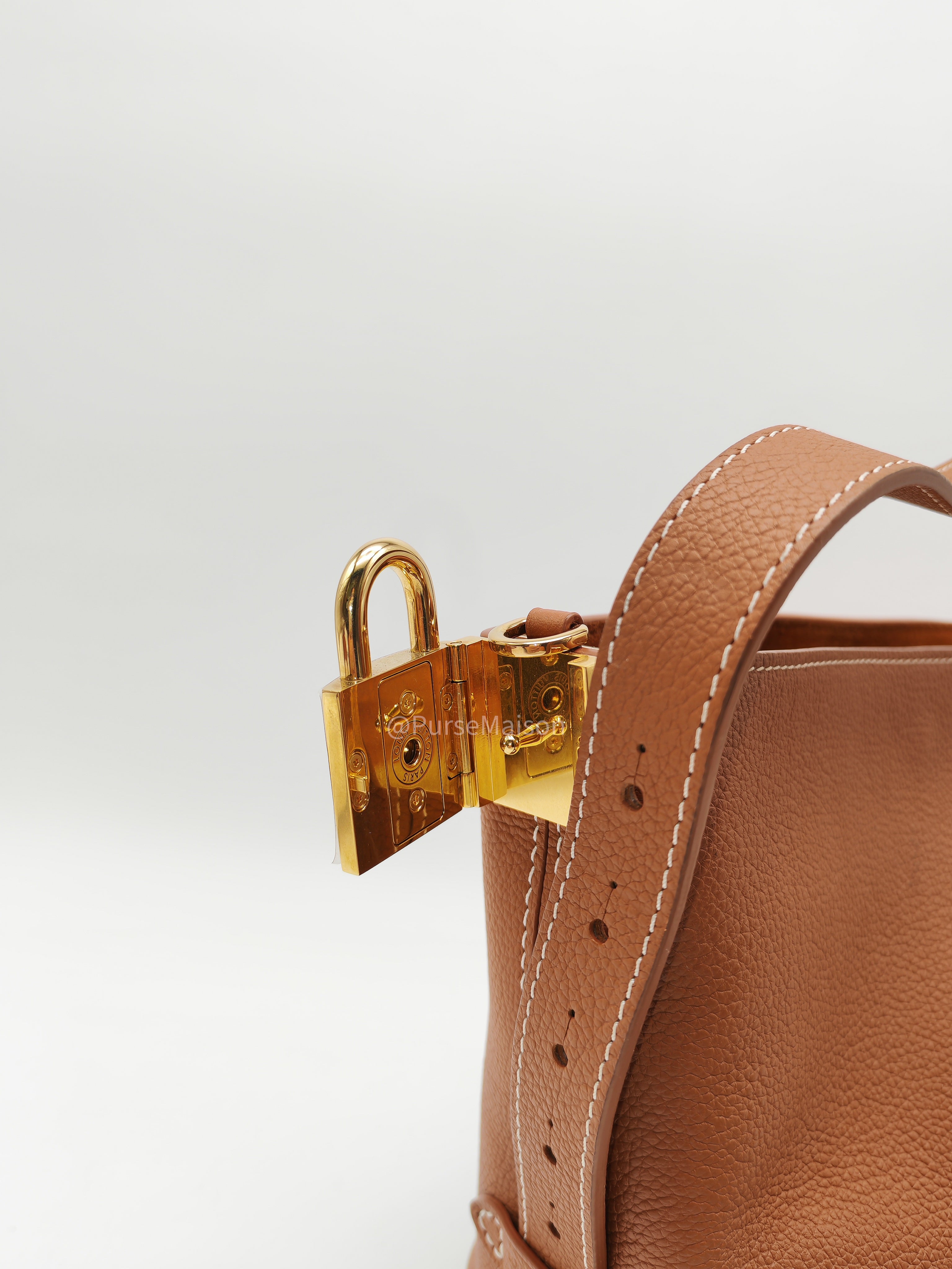 Louis Vuitton Low Key All BB in Cognac Grained Calfskin Leather and Gold Hardware Microchip