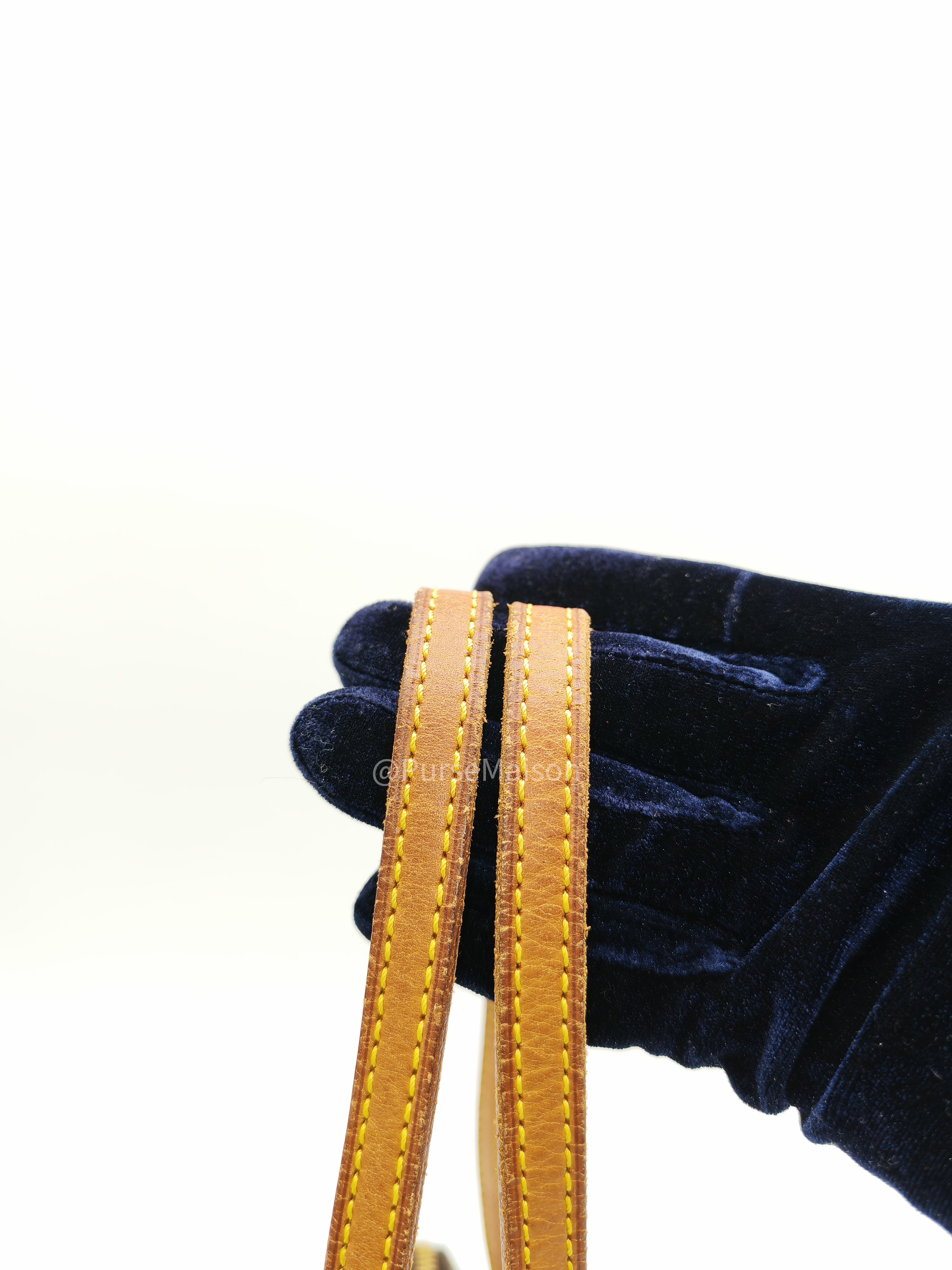Louis Vuitton Coussin PM in Monogram Canvas (Date Code: VI0024)