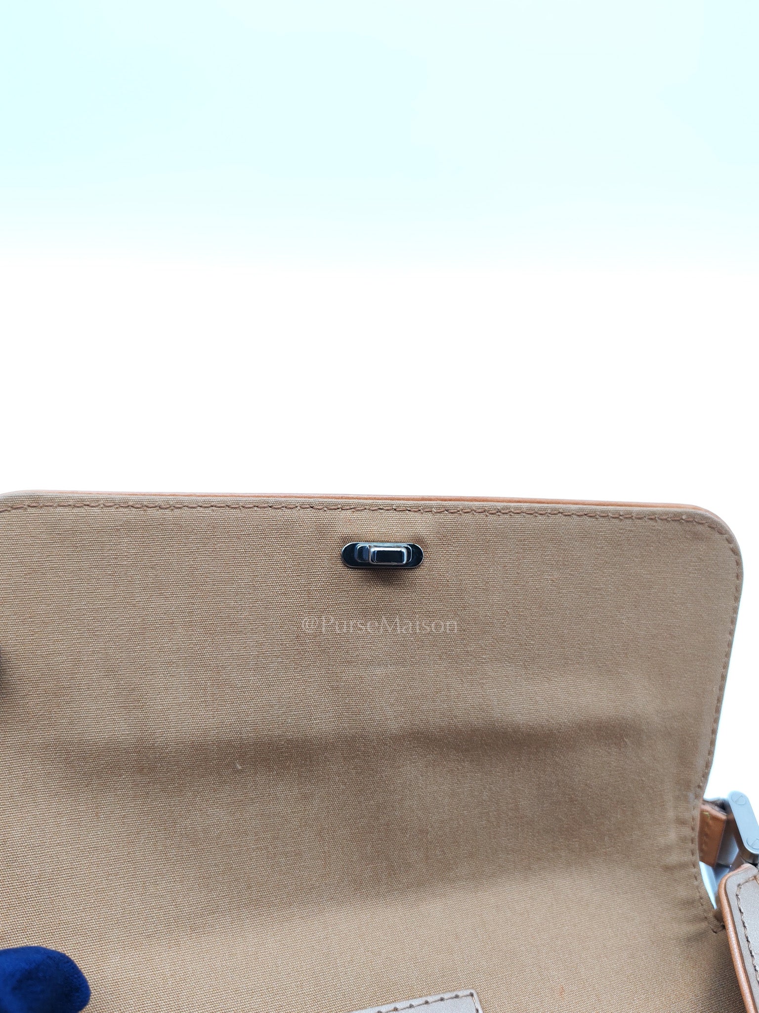 Louis Vuitton Mat Webster Street Bag in Ambre Monogram Canvas