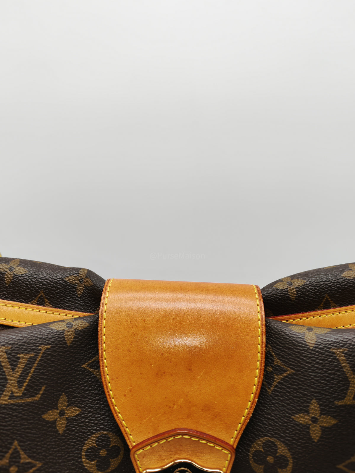 Louis Vuitton Stresa Bag GM in Monogram Canvas and Gold Hardware (Datecode: VI0130)