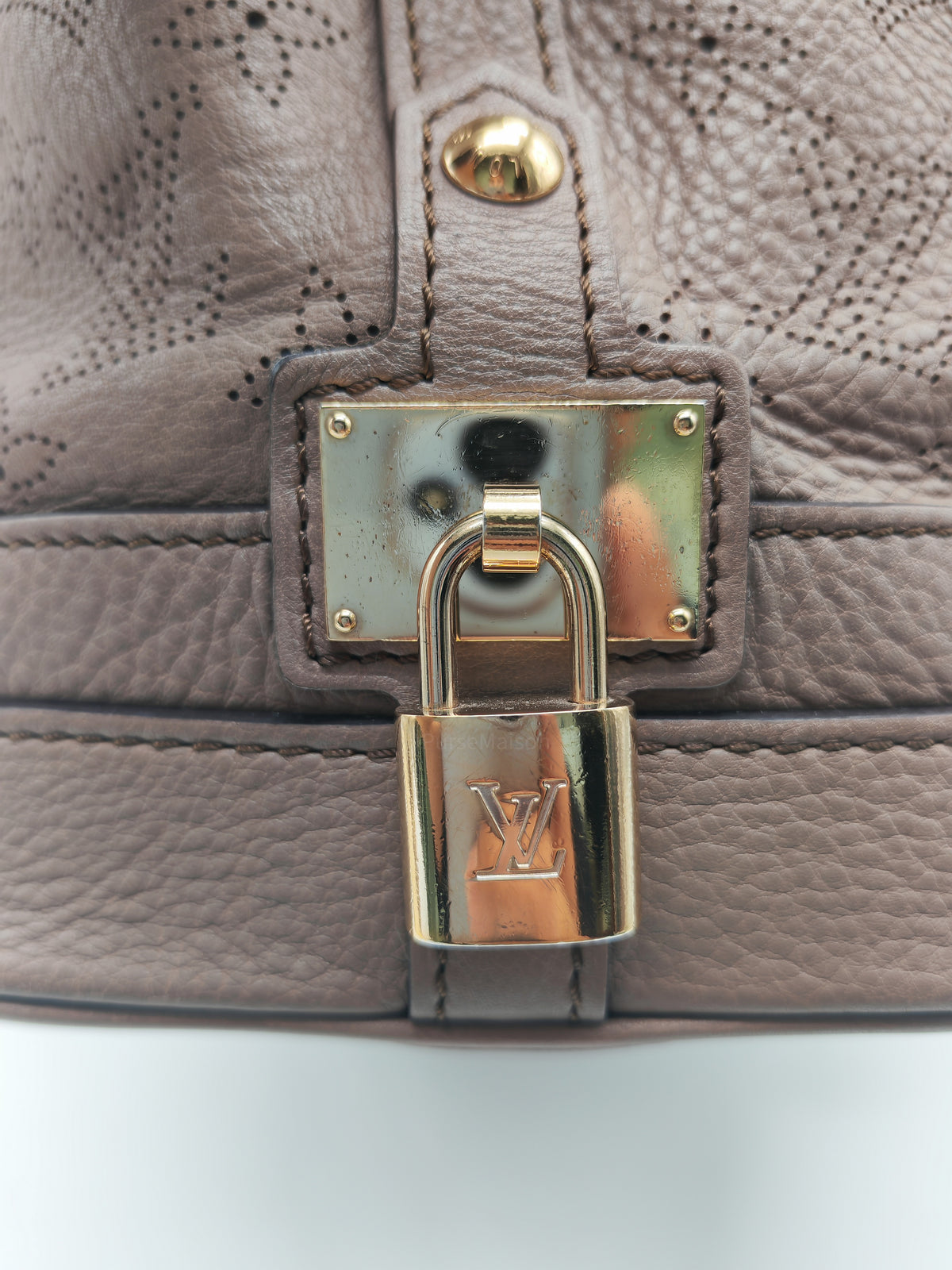 Louis Vuitton Stellar PM Bag in Monogram Mahina Leather and Gold Hardware