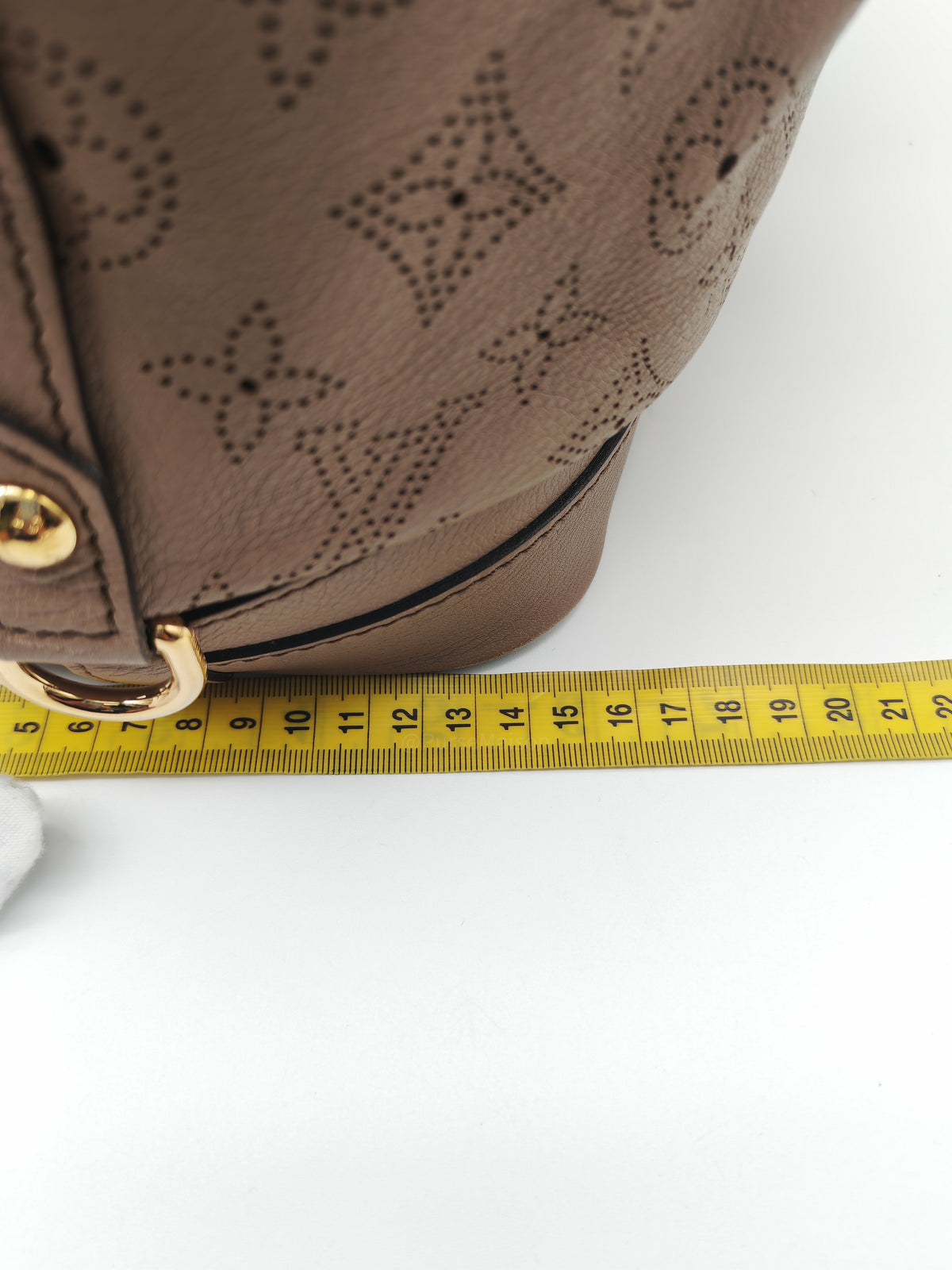 Louis Vuitton Stellar PM Bag in Monogram Mahina Leather and Gold Hardware