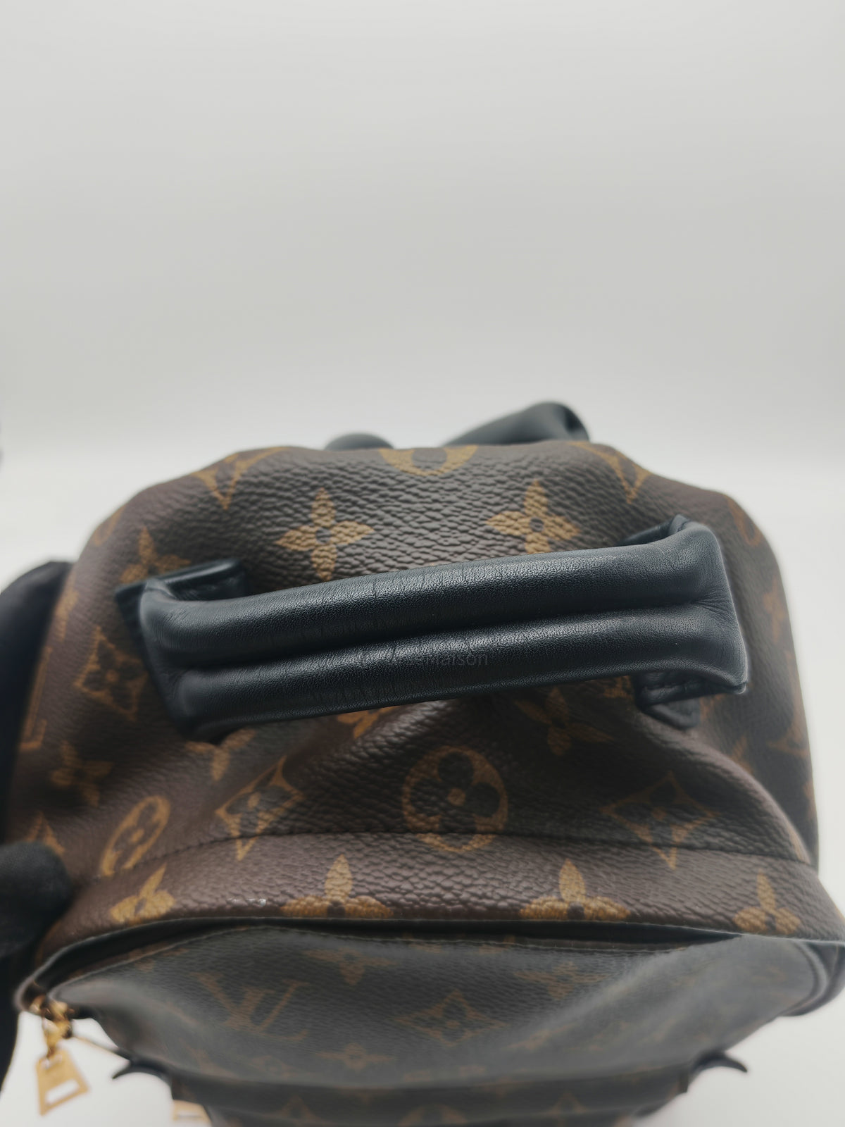 Louis Vuitton Palm Spring Backpack PM in Monogram Canvas and Gold Hardware (Datecode: FL0119)