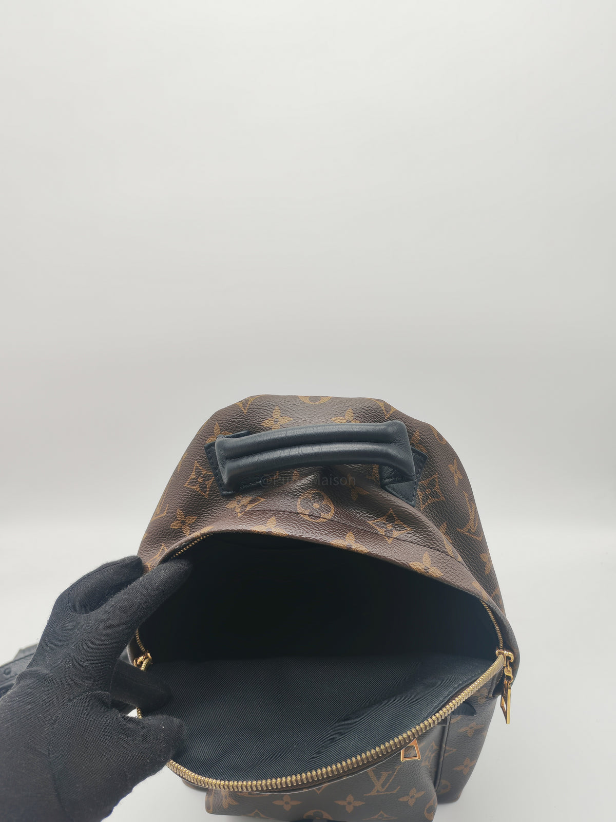 Louis Vuitton Palm Spring Backpack PM in Monogram Canvas and Gold Hardware (Datecode: FL0119)