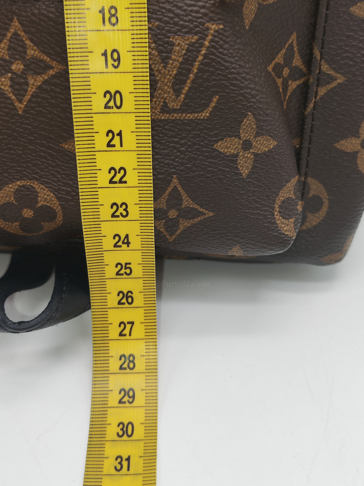 Louis Vuitton Palm Spring Backpack PM in Monogram Canvas and Gold Hardware (Datecode: FL0119)