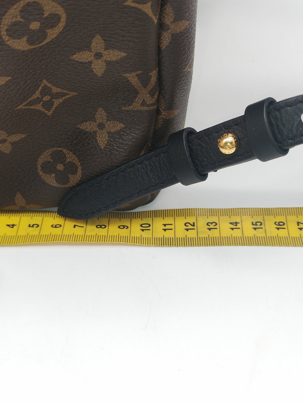 Louis Vuitton Palm Spring Backpack PM in Monogram Canvas and Gold Hardware (Datecode: FL0119)
