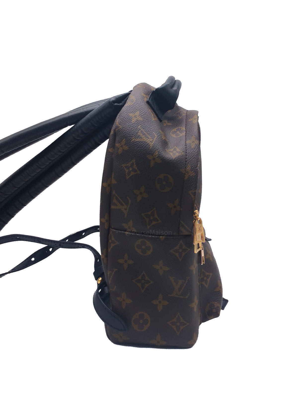 Louis Vuitton Palm Spring Backpack PM in Monogram Canvas and Gold Hardware (Datecode: FL0119)