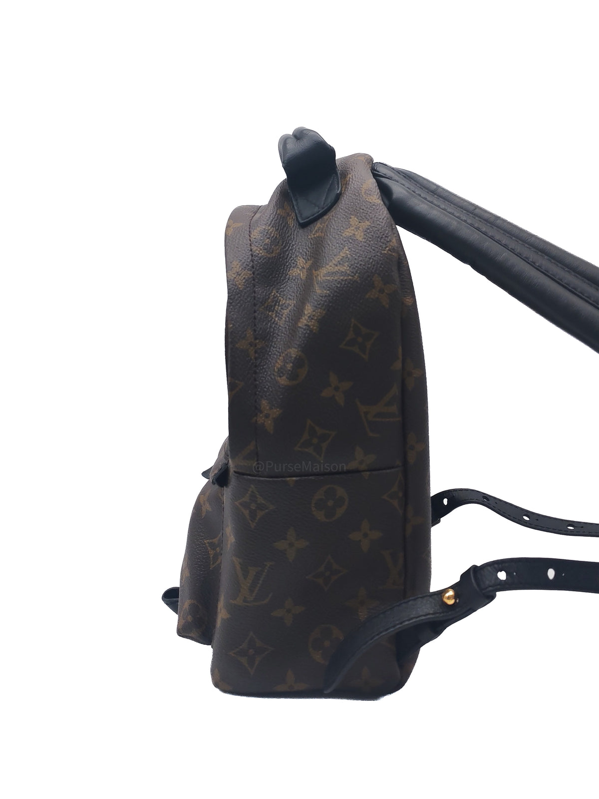 Louis Vuitton Palm Spring Backpack PM in Monogram Canvas and Gold Hardware (Datecode: FL0119)