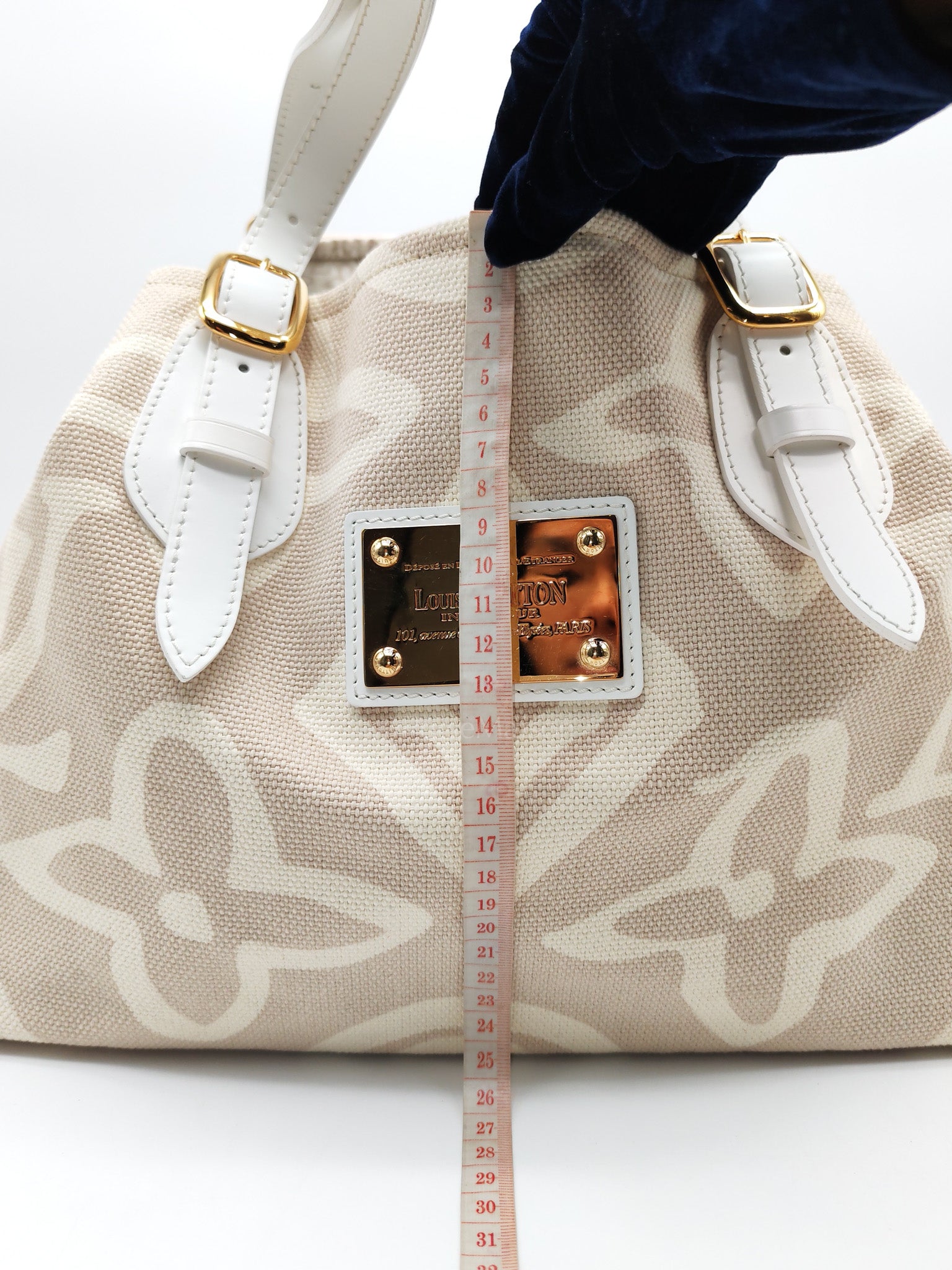 Louis Vuitton Monogram Tahitienne Cabas PM Tote Bag (Date Code: TH0038)