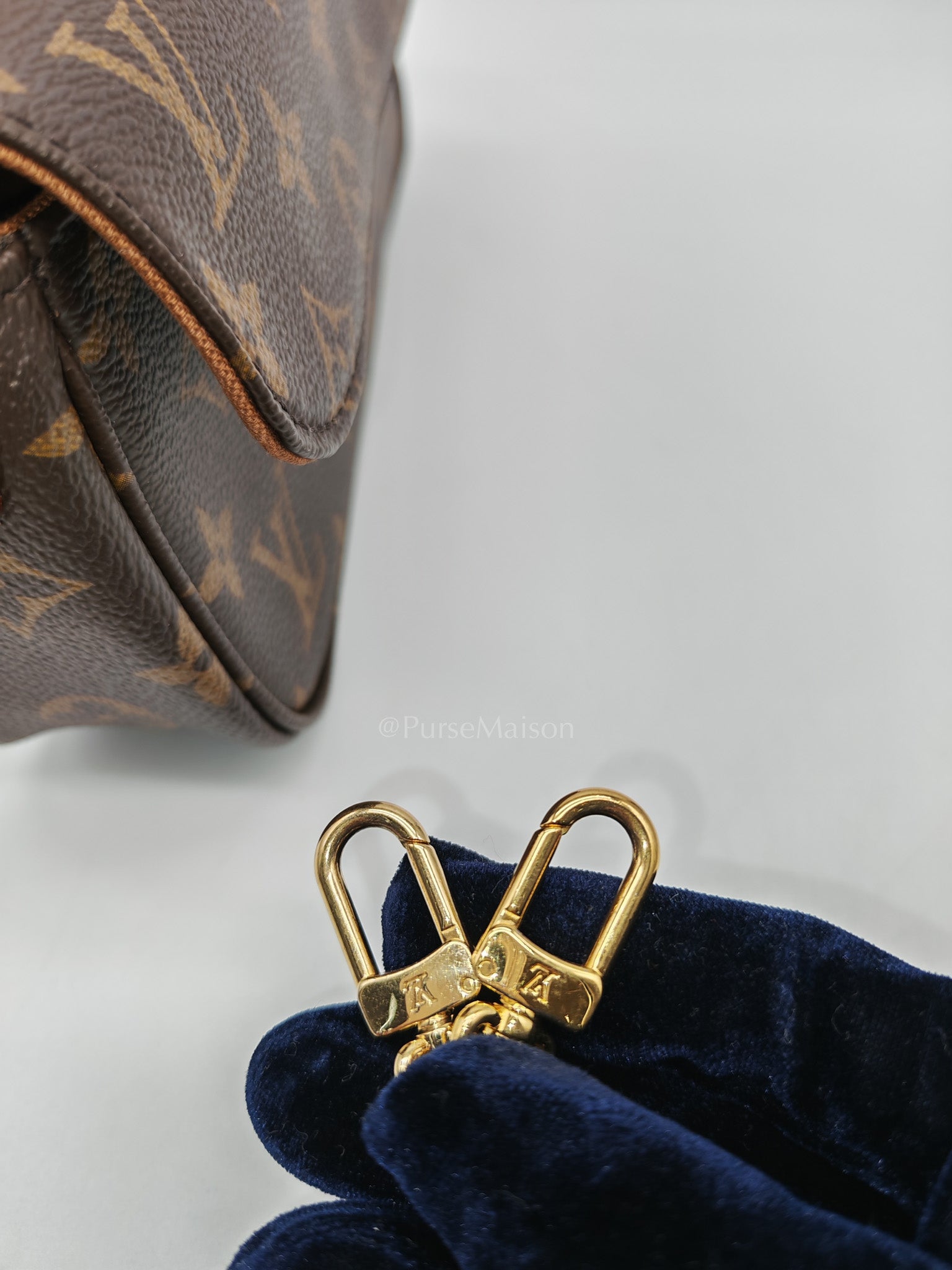 Ivy Wallet On Chain in Monogram Canvas Shoulder Bag (Microchip)