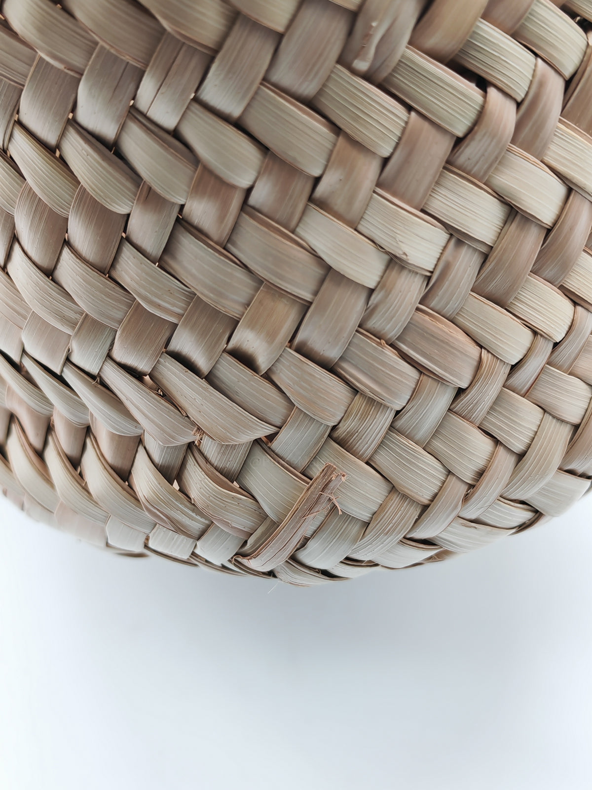Loewe Palm Leaf & Brown Leather Small Basket Bag
