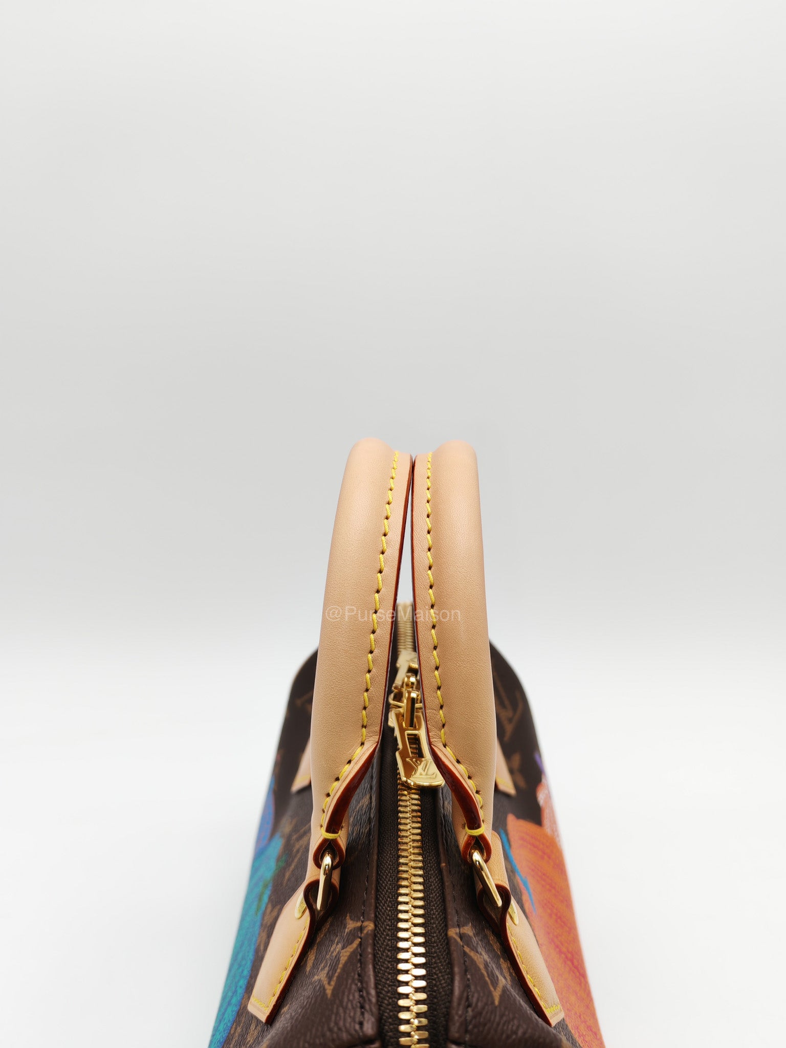 Louis Vuitton Speedy Bandouliere 20 LV x Yayoi Kusama in Monogram Canvas Pumpskins (Microchip)