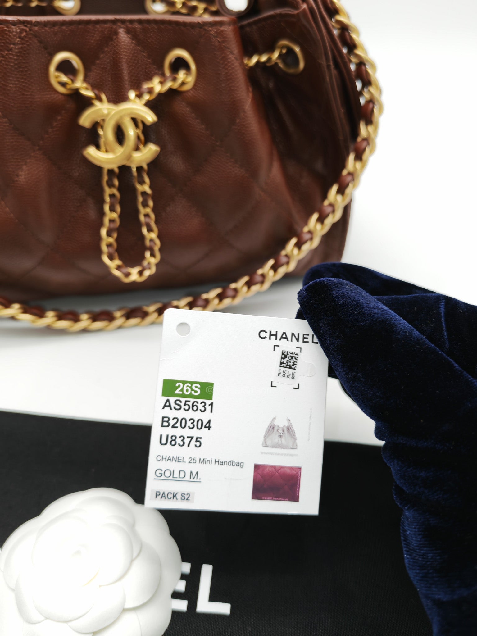 Chanel 25 Mini Chocolate Brown Caviar Leather and Aged Gold Hardware Microchip