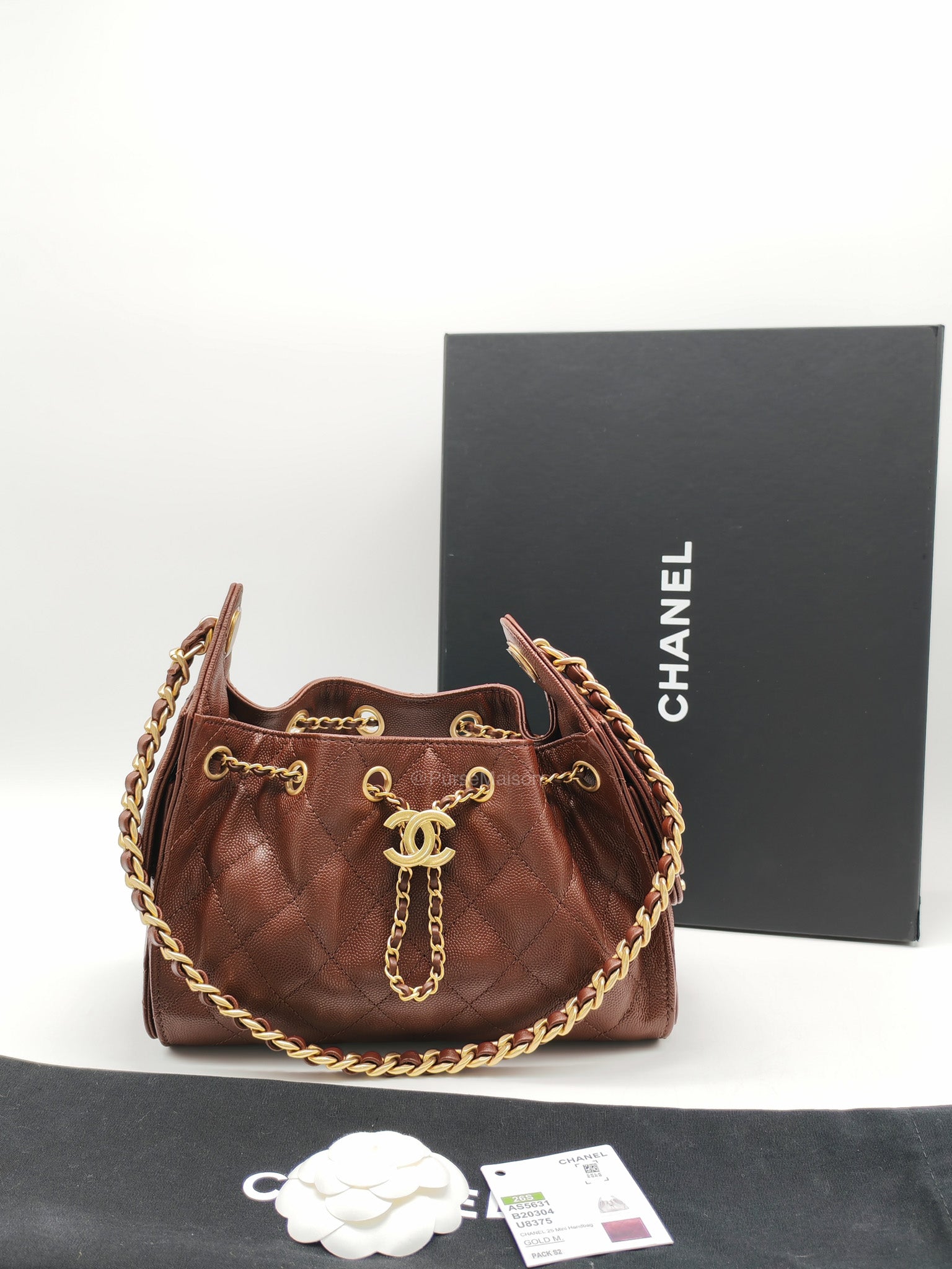 Chanel 25 Mini Chocolate Brown Caviar Leather and Aged Gold Hardware Microchip