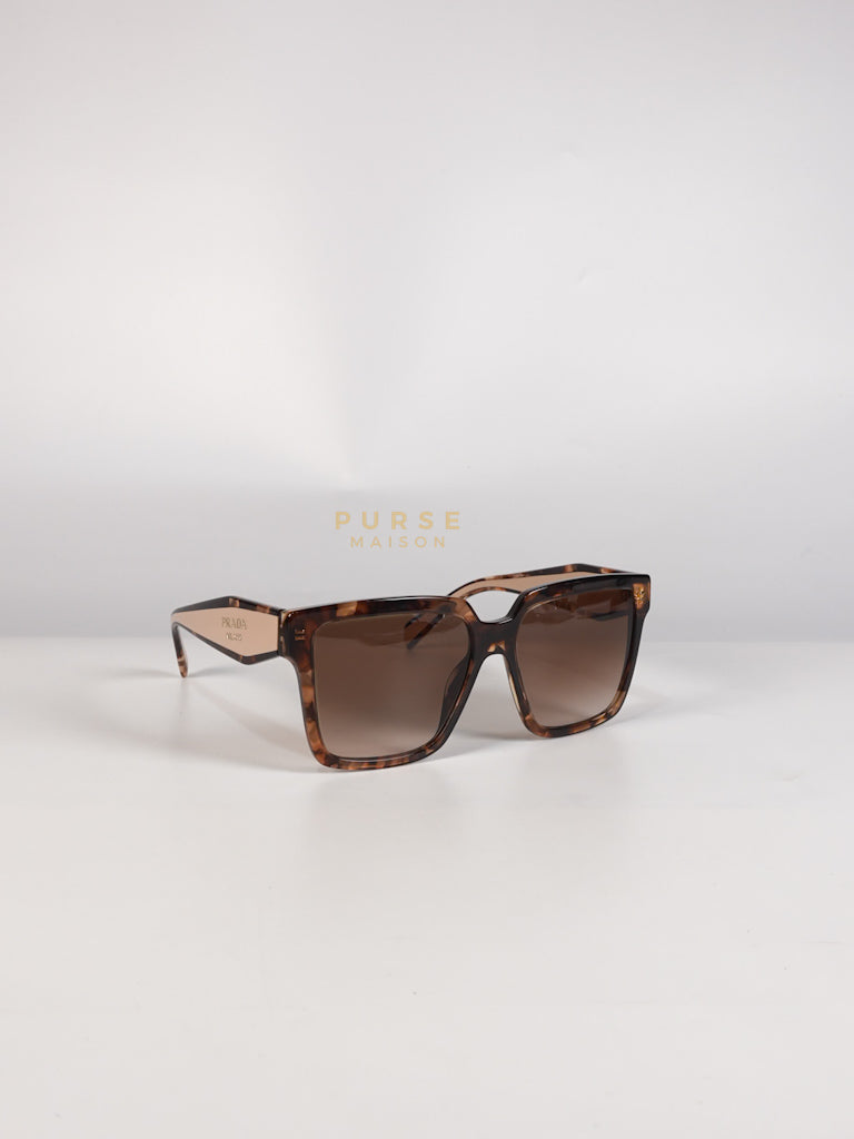 Acetate Square Sunglasses SPR 24Z in Tortoiseshell Beige | Purse Maison Luxury Bags Shop