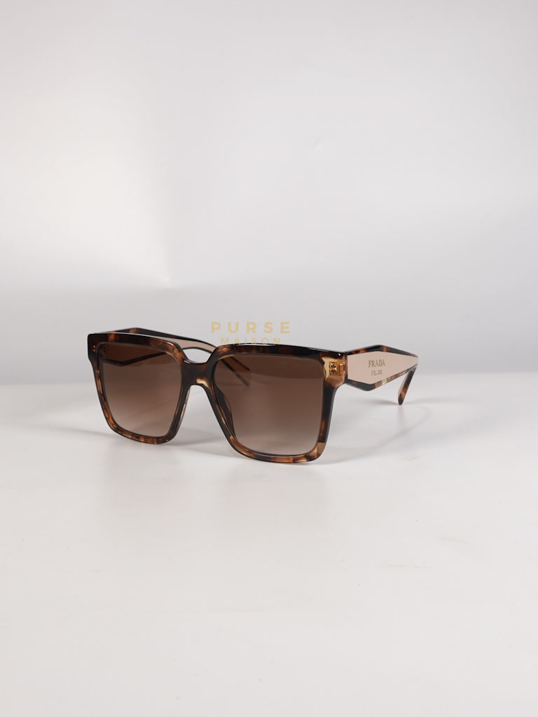 Acetate Square Sunglasses SPR 24Z in Tortoiseshell Beige | Purse Maison Luxury Bags Shop