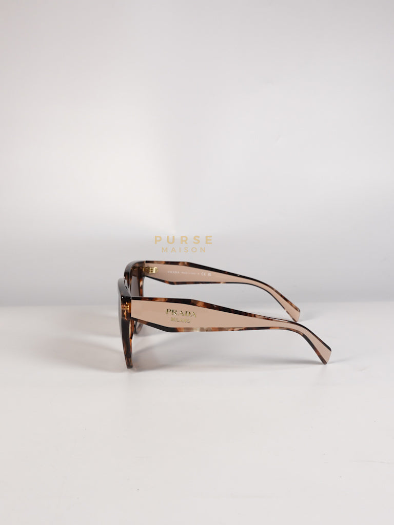 Acetate Square Sunglasses SPR 24Z in Tortoiseshell Beige | Purse Maison Luxury Bags Shop