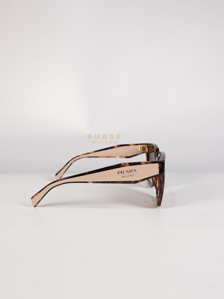 Acetate Square Sunglasses SPR 24Z in Tortoiseshell Beige | Purse Maison Luxury Bags Shop
