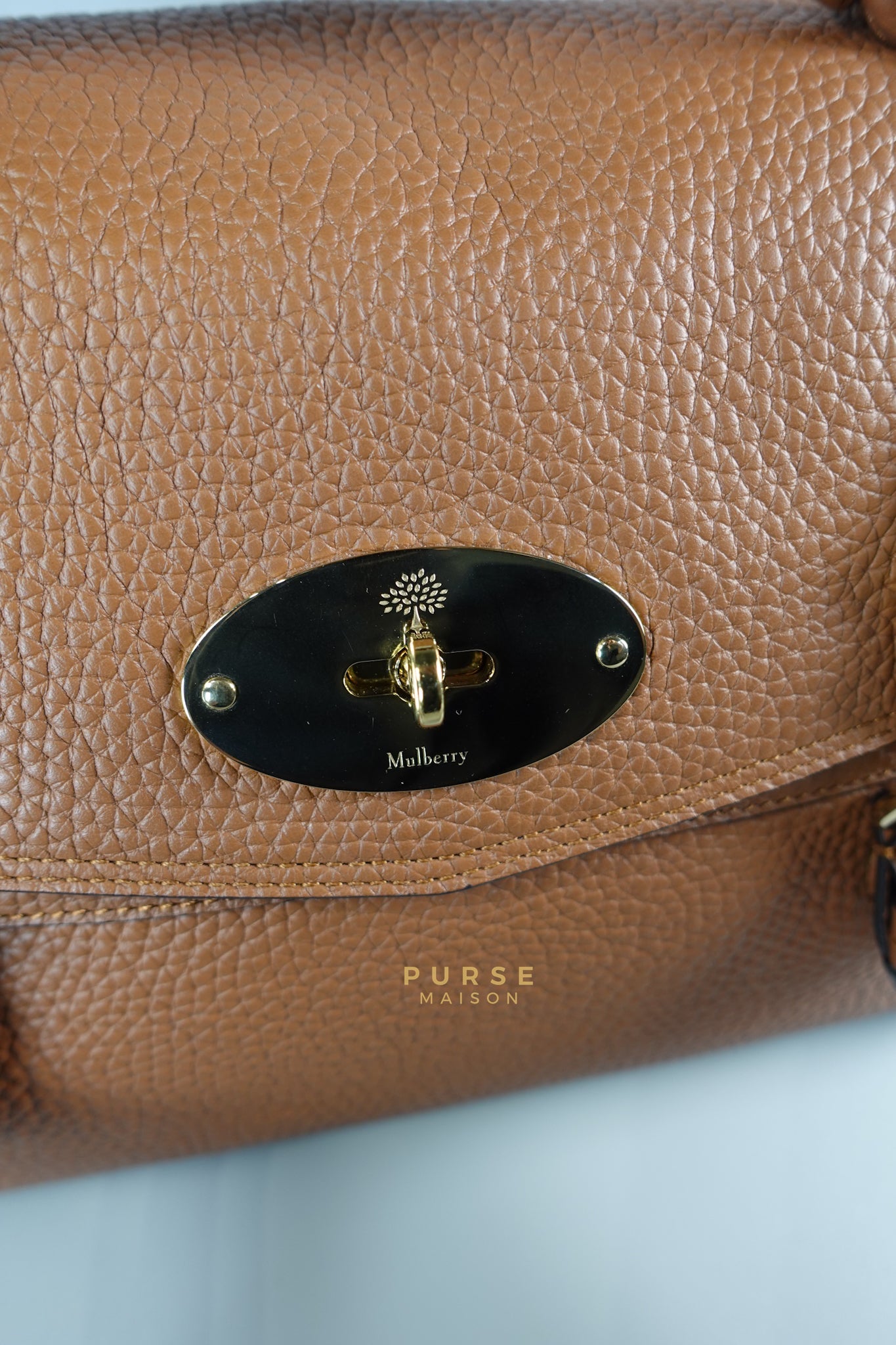 Alexa Bag in Chestnut Grain Leather Bag | Purse Maison Luxury Bags Shop