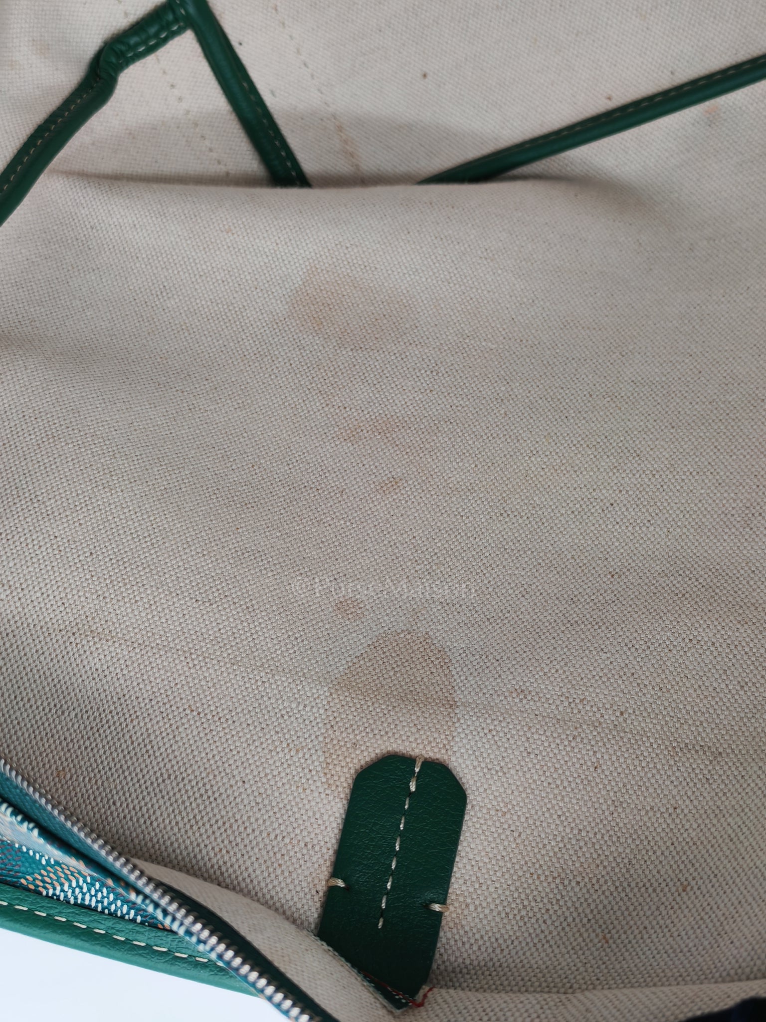 Artois PM in Green Goyardine Canvas Tote Bag | Purse Maison Luxury Bags Shop