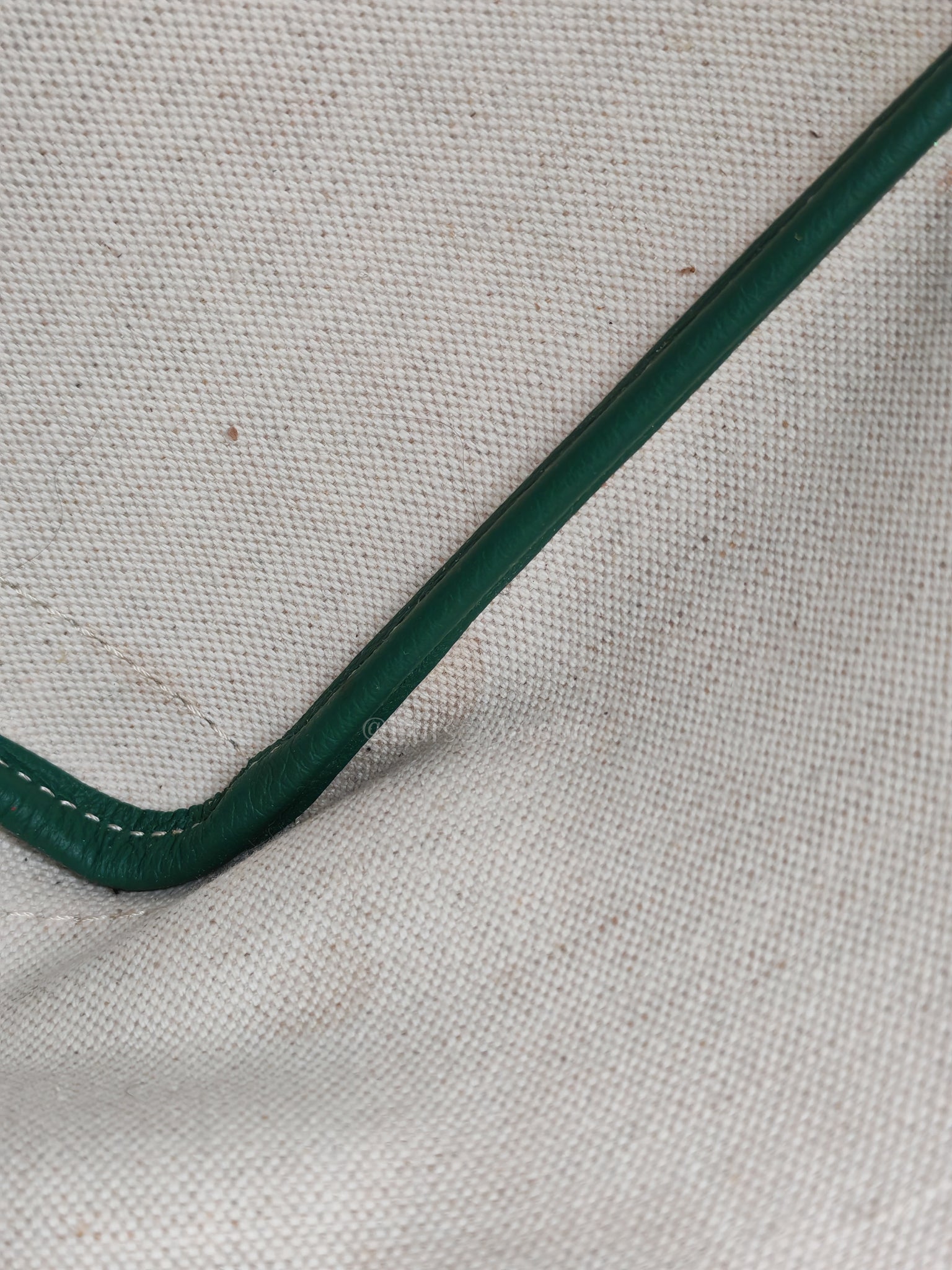 Artois PM in Green Goyardine Canvas Tote Bag | Purse Maison Luxury Bags Shop