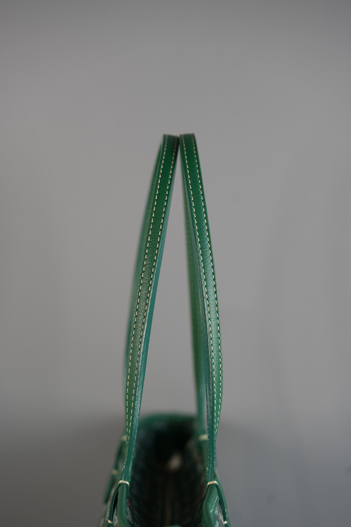 Artois PM Vert (Green) Tote Bag | Purse Maison Luxury Bags Shop