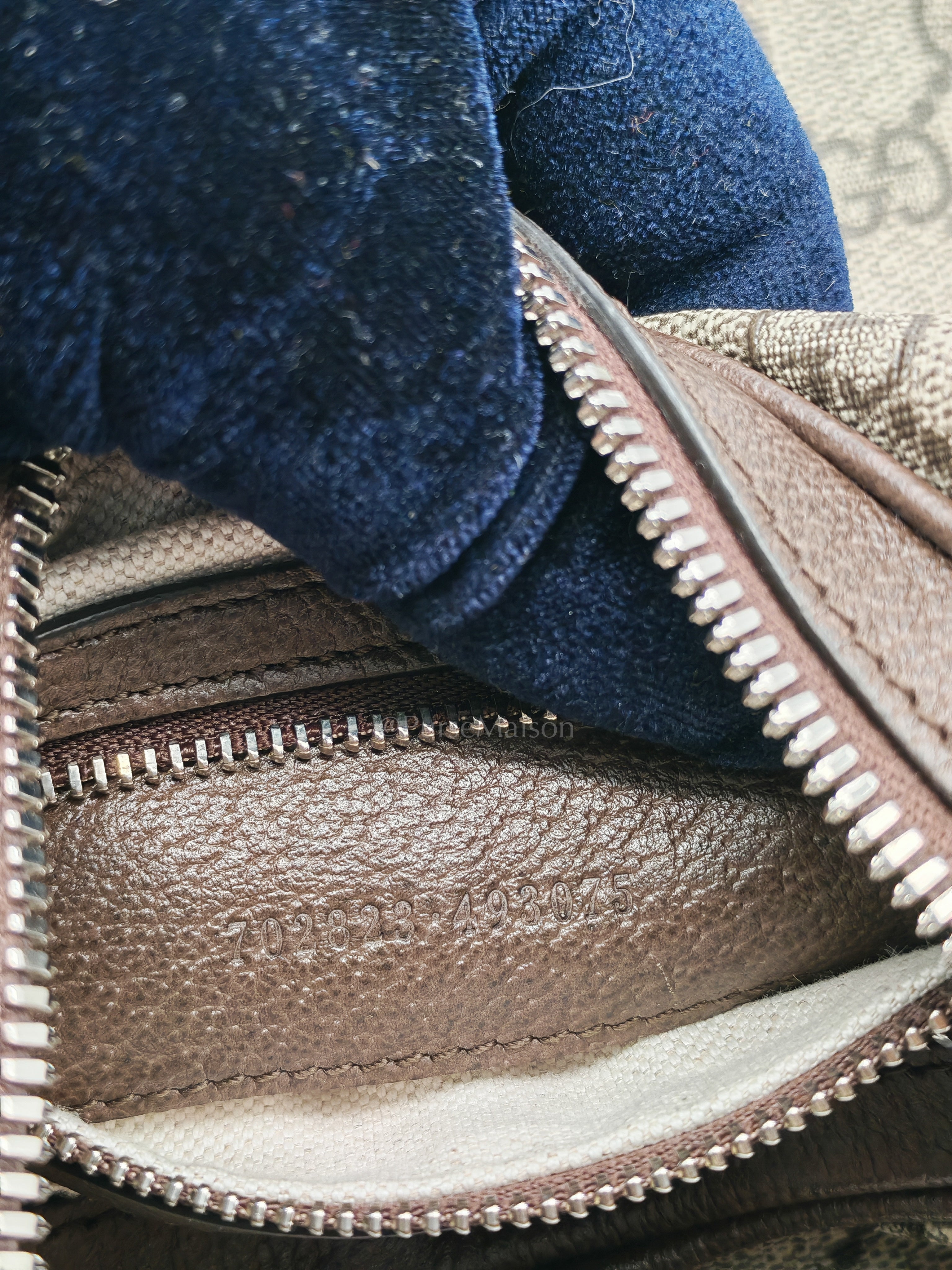 Attache Hobo Bag in GG Supreme Canvas & Silver Hardware | Purse Maison Luxury Bags Shop