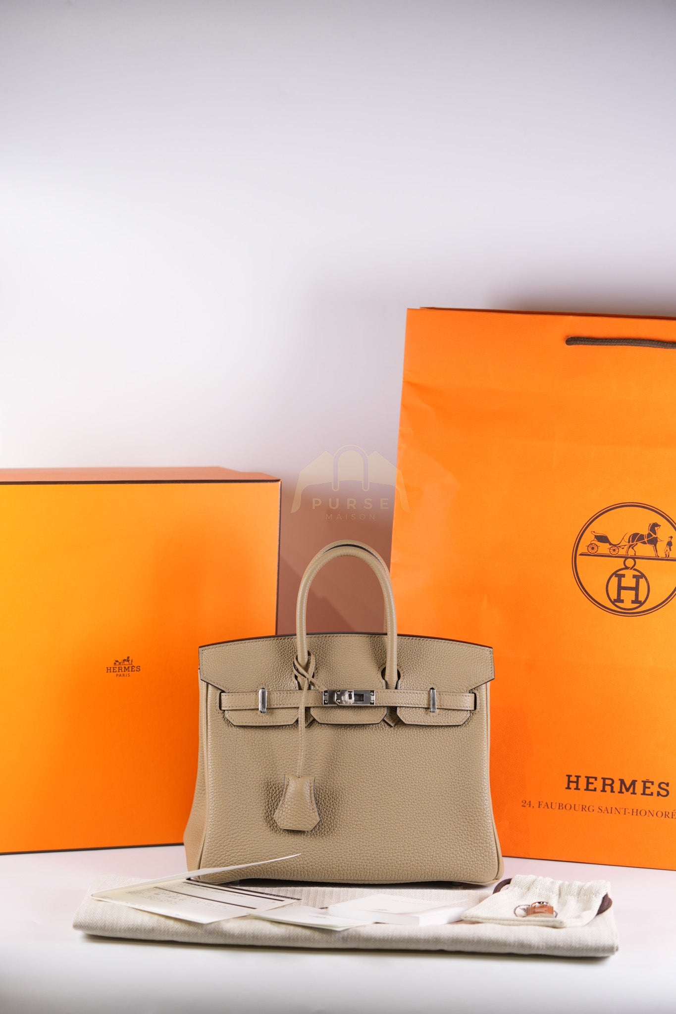 Birkin 25 Beige Marfa Togo Leather in Palladium Hardware Stamp W(2024) | Purse Maison Luxury Bags Shop