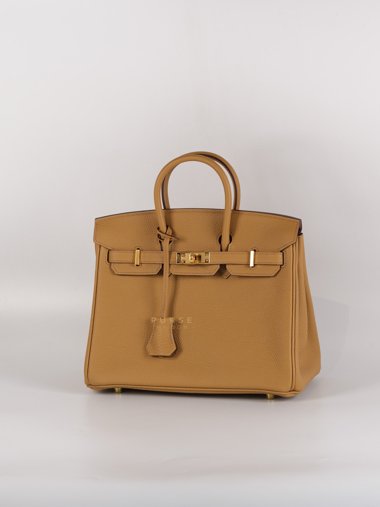 Birkin 25 Biscuit Togo Leather in Gold Hardware Stamp Z (2021) | Purse Maison Luxury Bags Shop