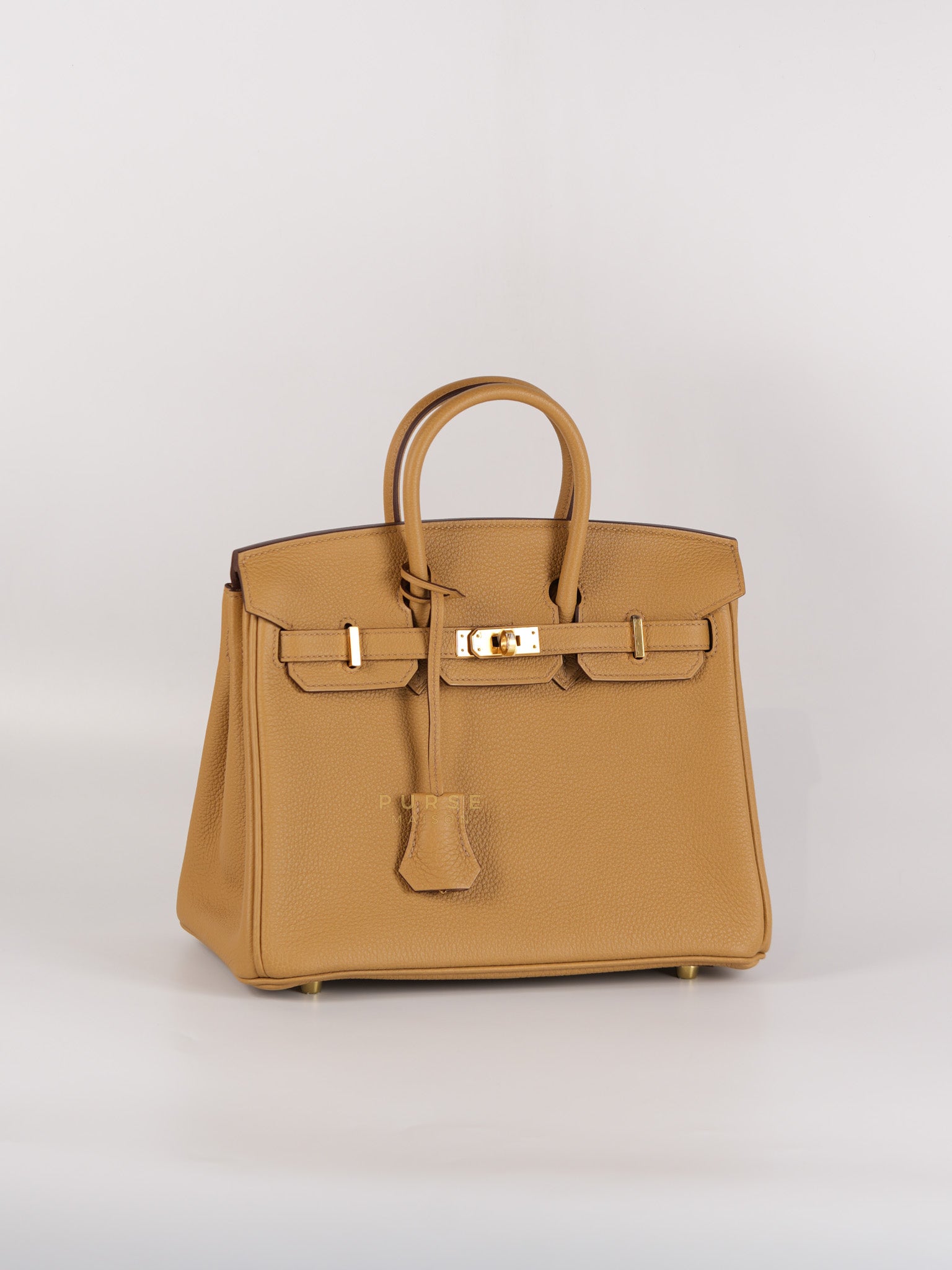 Birkin 25 Biscuit Togo Leather in Gold Hardware Stamp Z (2021) | Purse Maison Luxury Bags Shop