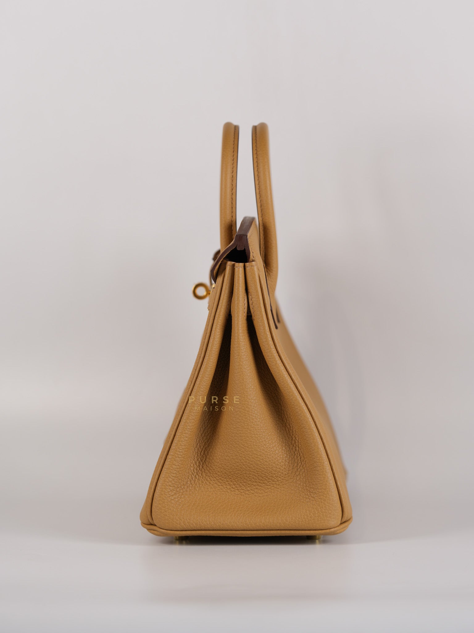 Birkin 25 Biscuit Togo Leather in Gold Hardware Stamp Z (2021) | Purse Maison Luxury Bags Shop
