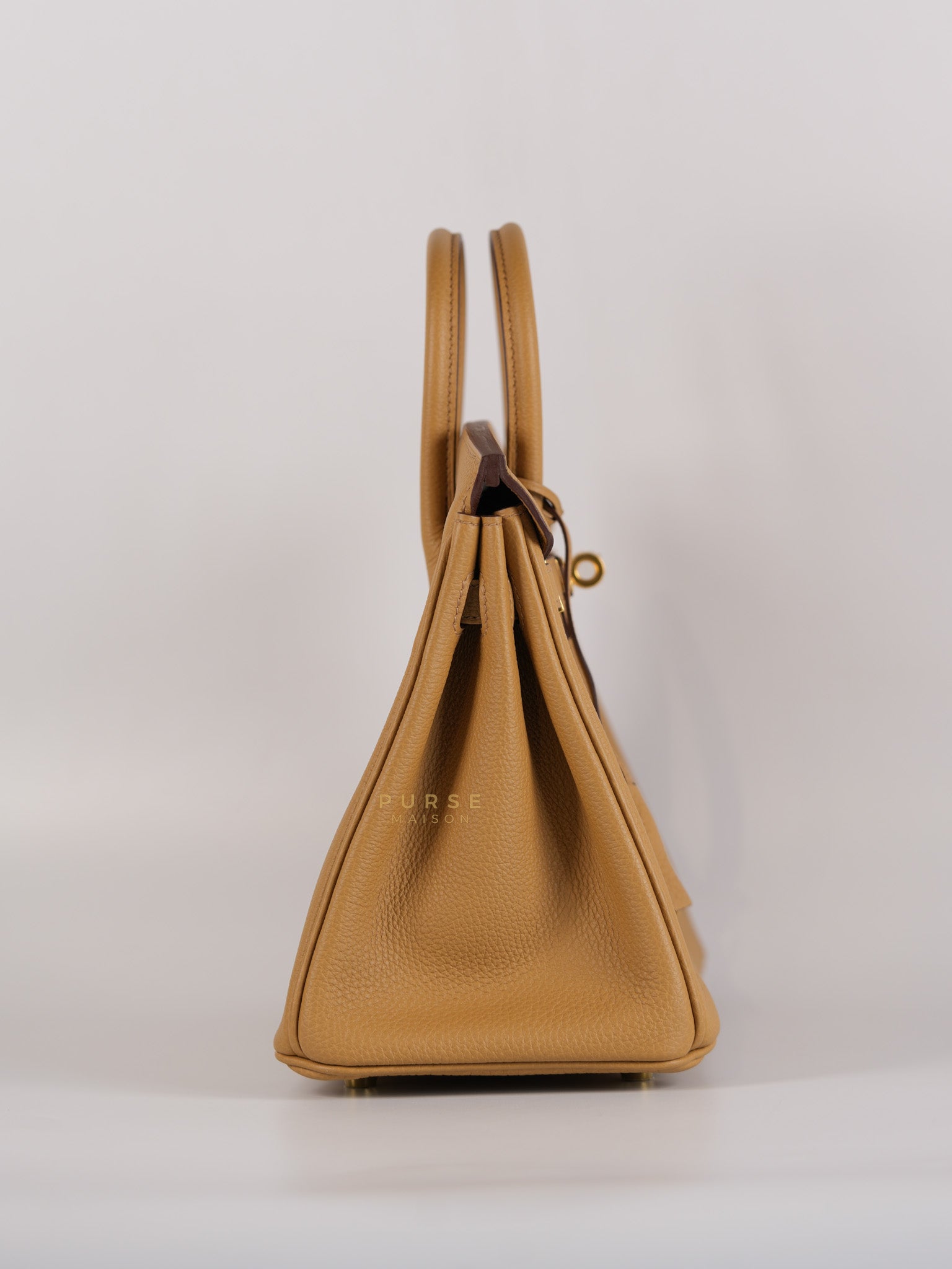 Birkin 25 Biscuit Togo Leather in Gold Hardware Stamp Z (2021) | Purse Maison Luxury Bags Shop