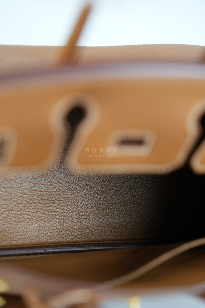 Birkin 25 in Gold Togo Leather and Gold Hardware Stamp U (2022) | Purse Maison Luxury Bags Shop