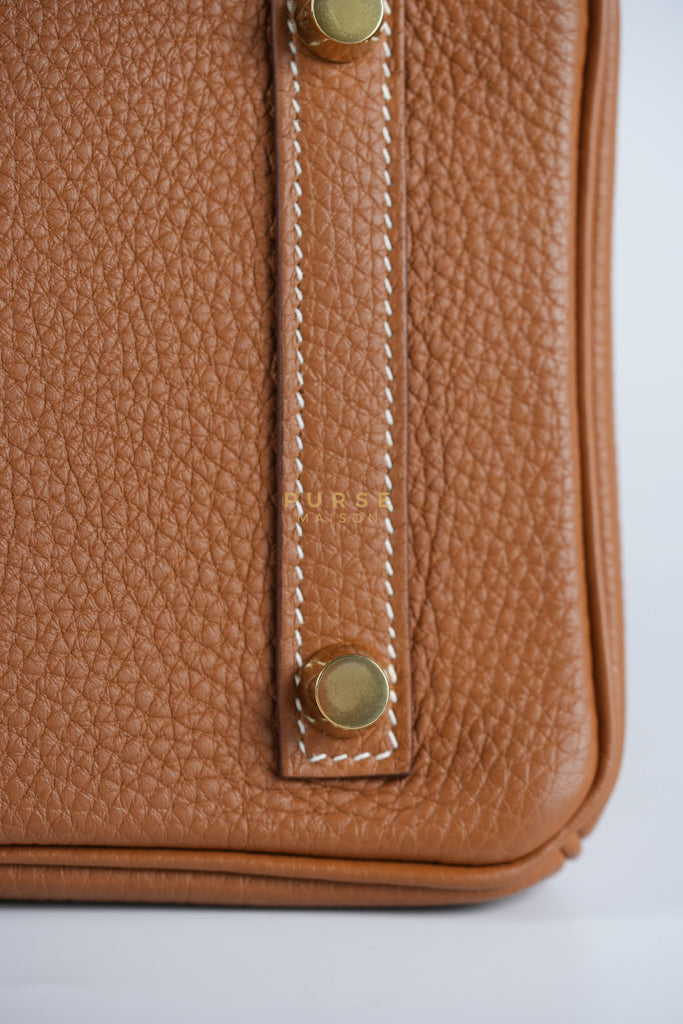 Birkin 25 in Gold Togo Leather and Gold Hardware Stamp U (2022) | Purse Maison Luxury Bags Shop