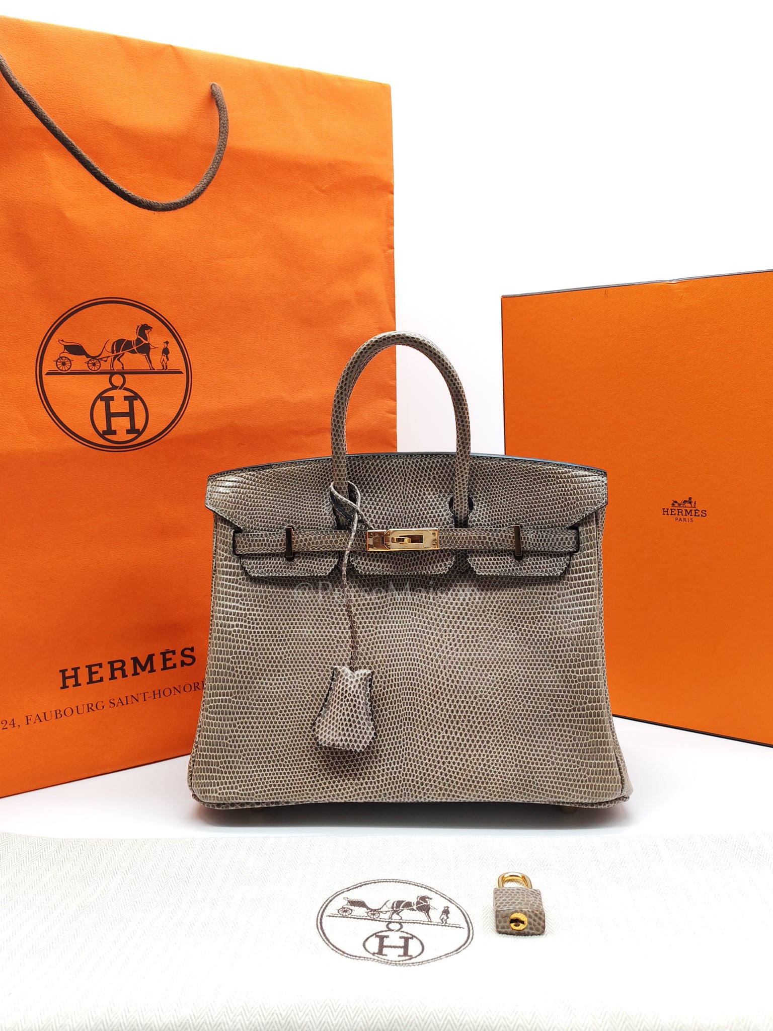 Birkin 25 Lizard Gris Tourterelle Gold Hardware Stamp P (2012) | Purse Maison Luxury Bags Shop