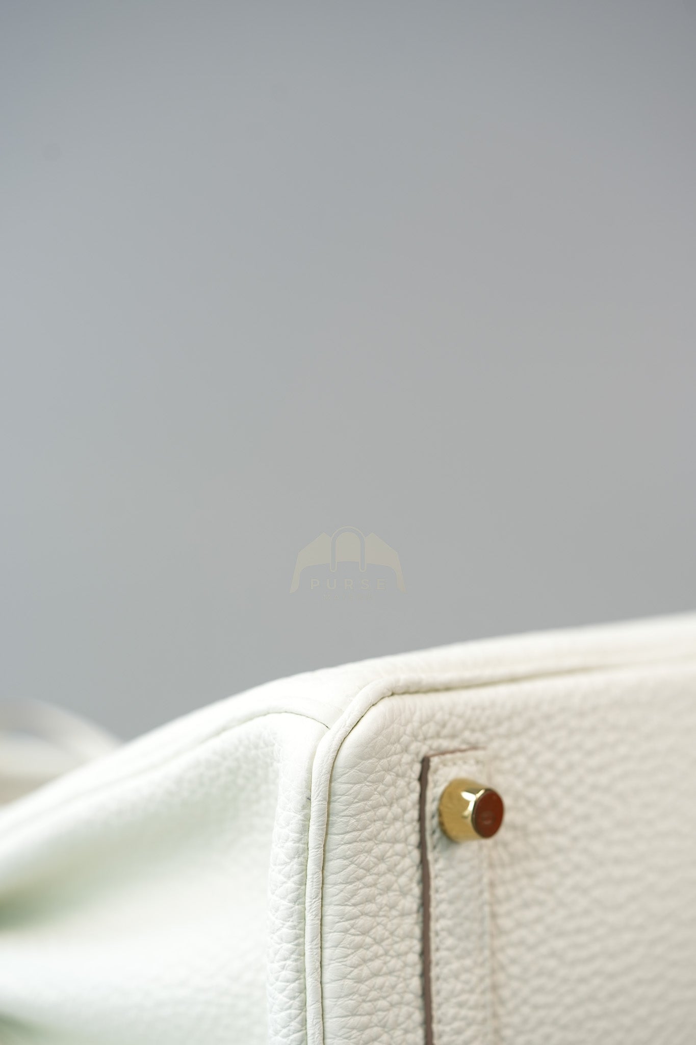 Birkin 25 Mushroom in Togo Leather and Gold Hardware Stamp B (2023) | Purse Maison Luxury Bags Shop