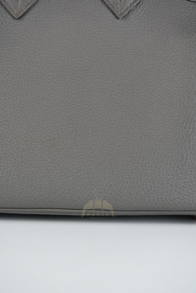 Birkin 25 Retourne in Etain Togo Leather and Gold Hardware Stamp D (2019) | Purse Maison Luxury Bags Shop