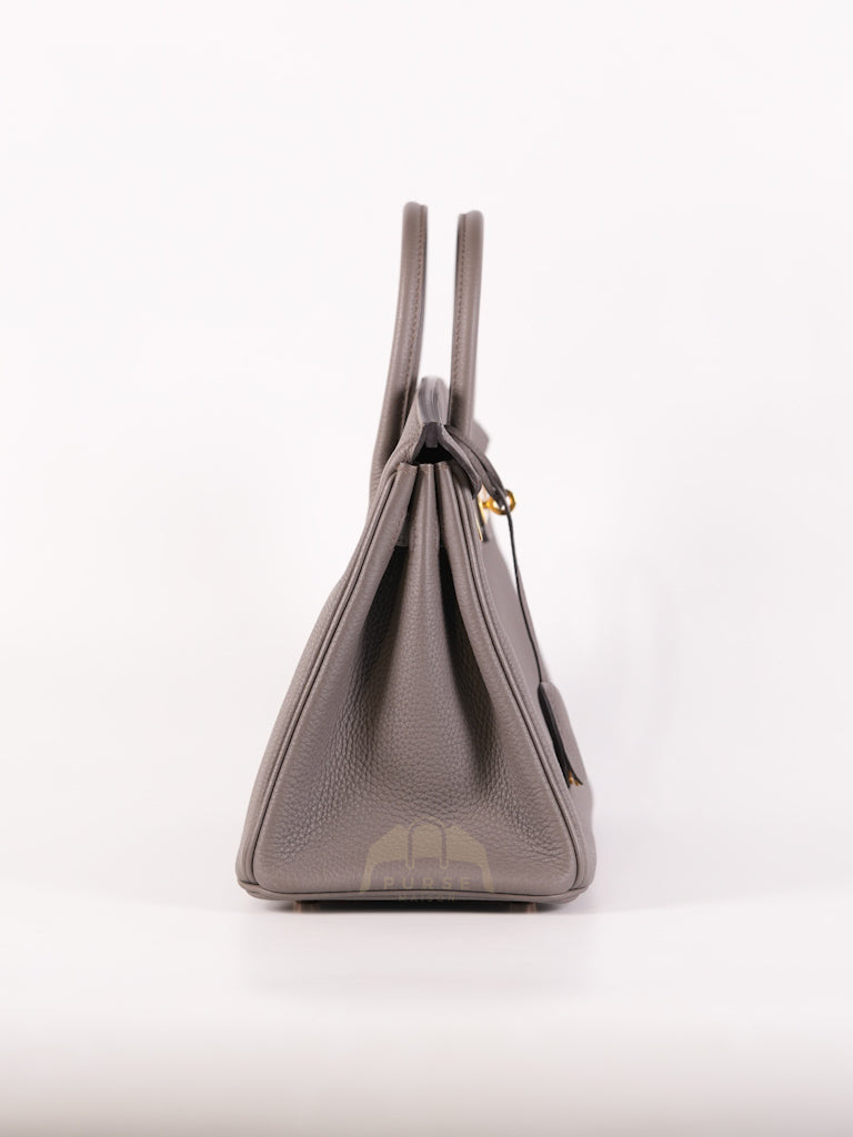 Birkin 25 Retourne in Etain Togo Leather and Gold Hardware Stamp D (2019) | Purse Maison Luxury Bags Shop