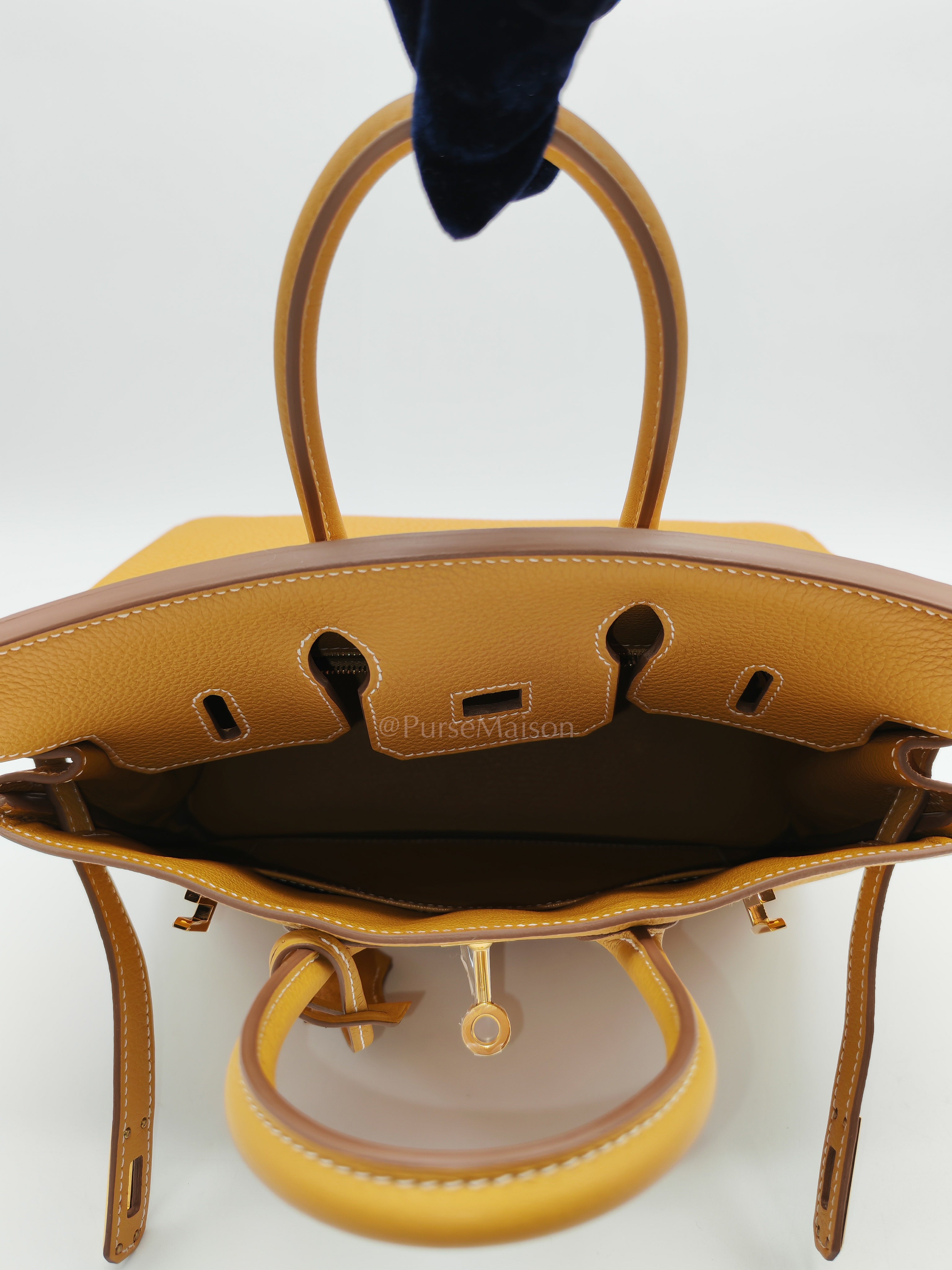 Birkin 25 Retourne in Sesame Togo Leather and Gold Hardware Stamp K (2025) | Purse Maison Luxury Bags Shop