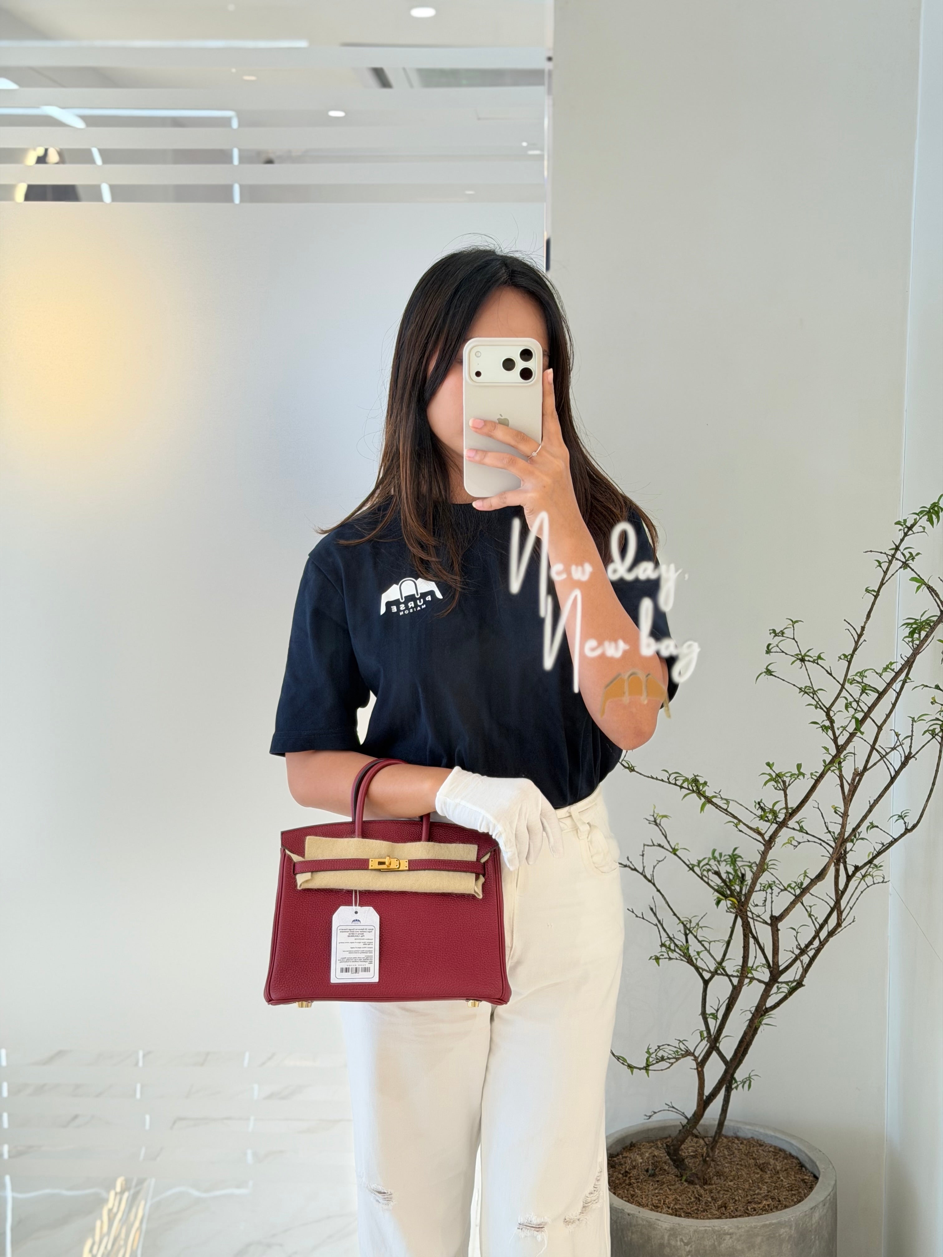 Birkin 25 Retourne Rouge Grenat in Togo Leather and Gold Hardware Stamp X (2016) | Purse Maison Luxury Bags Shop