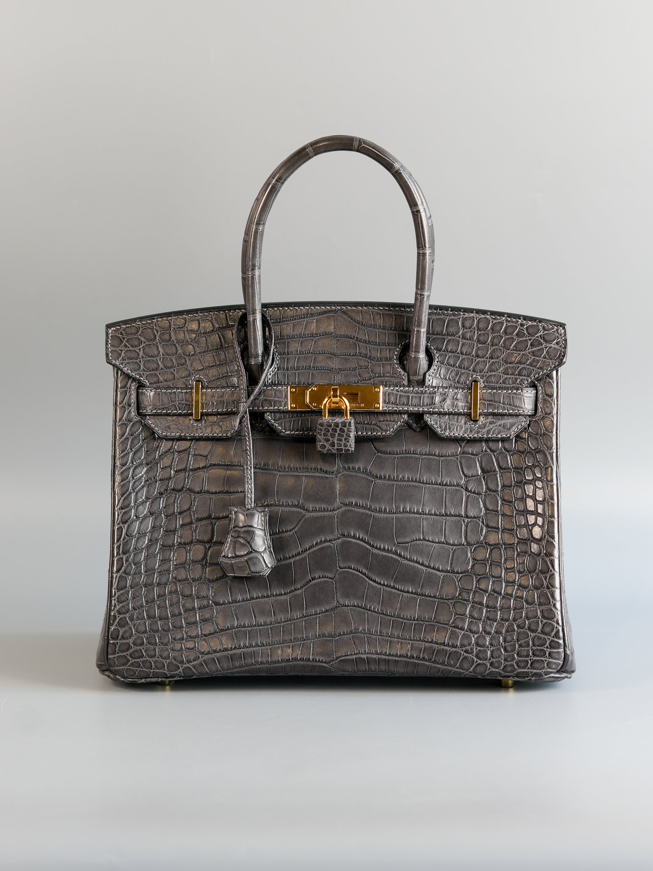 Hermes Luxury Bags Price in the Philippines November 2024