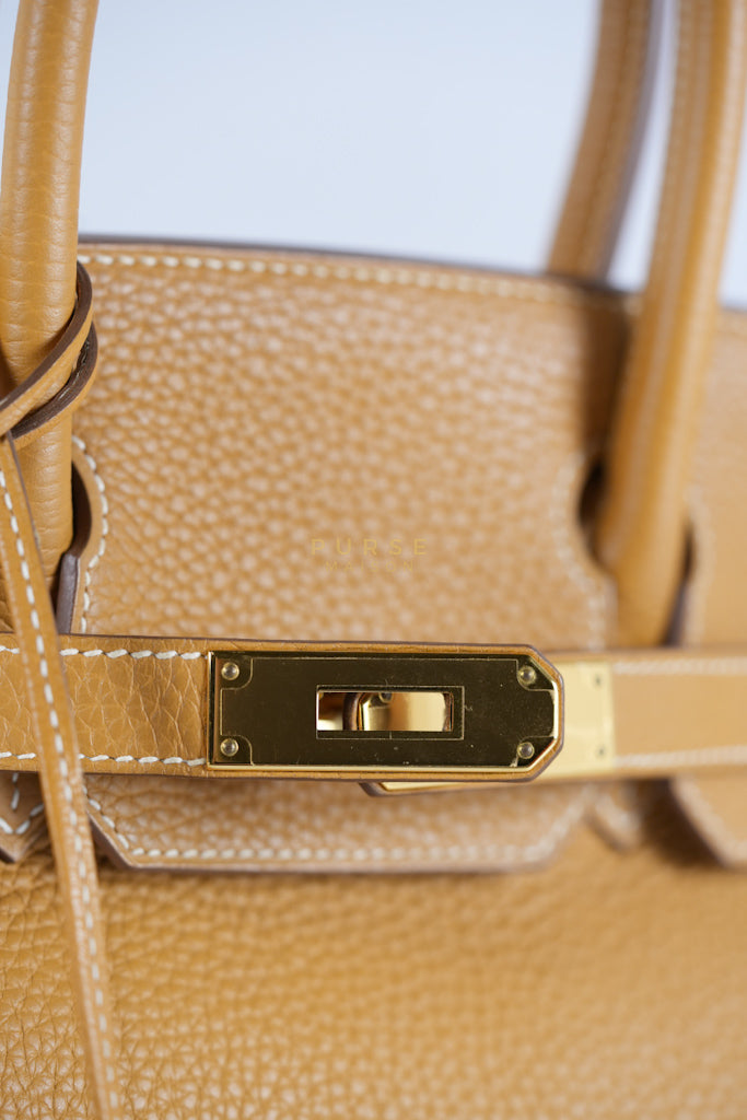 Birkin 30 Naturel Sable in Togo Leather & Gold Hardware Stamp T (2015) | Purse Maison Luxury Bags Shop