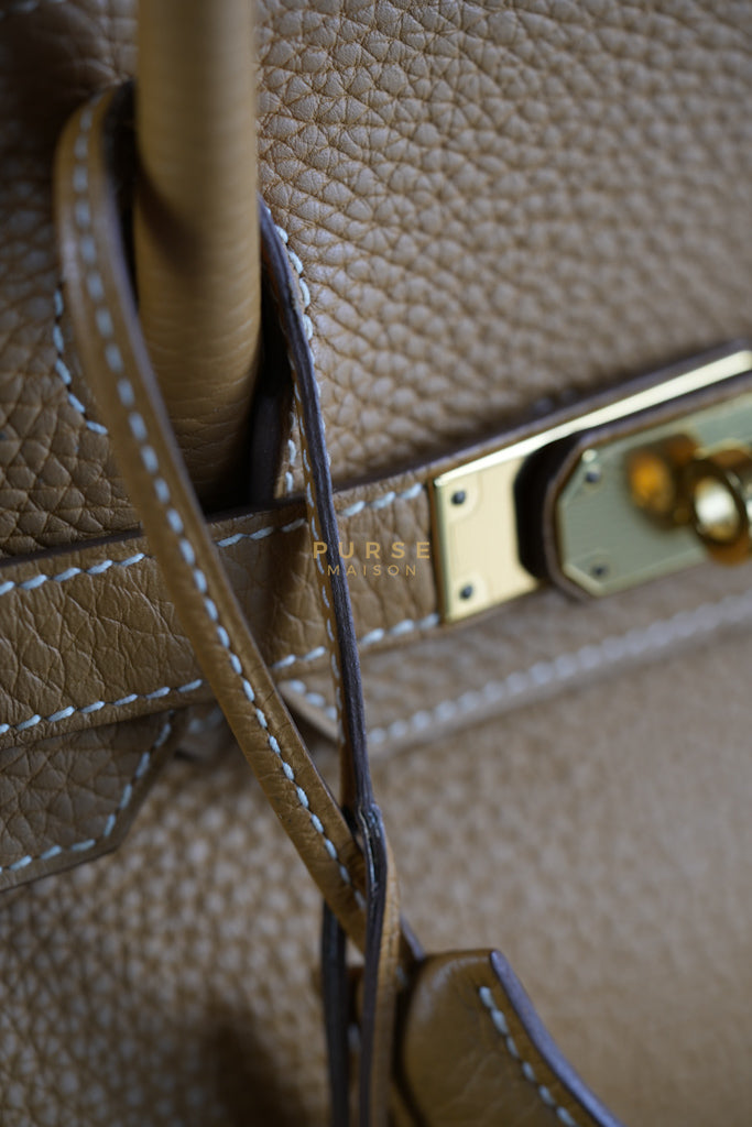 Birkin 30 Naturel Sable in Togo Leather & Gold Hardware Stamp T (2015) | Purse Maison Luxury Bags Shop